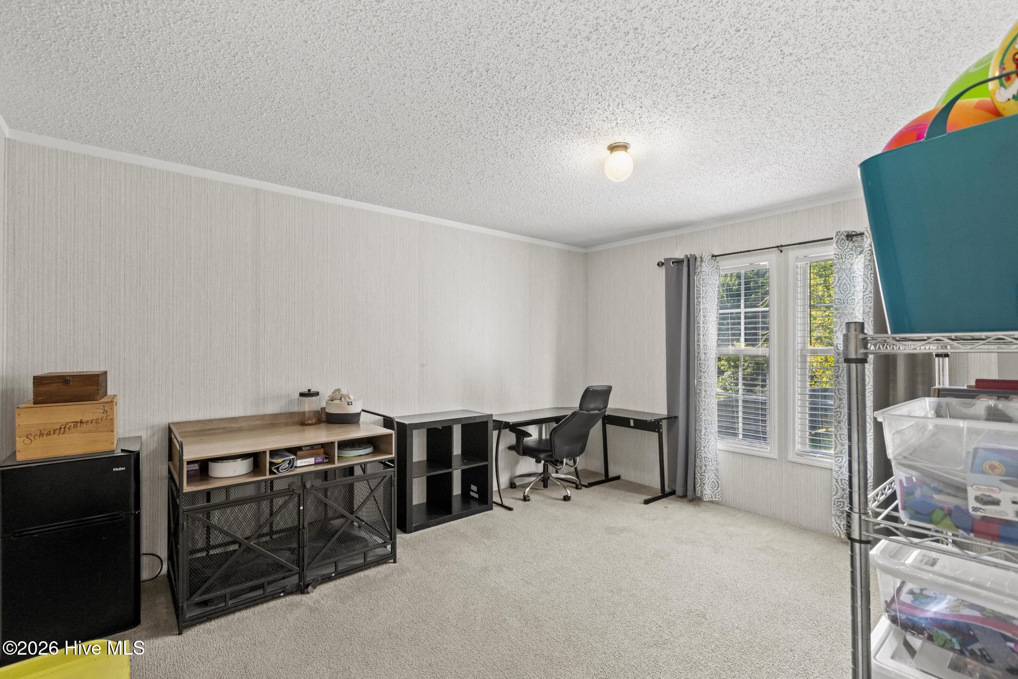 101 Cutlass Street Property Photo 16