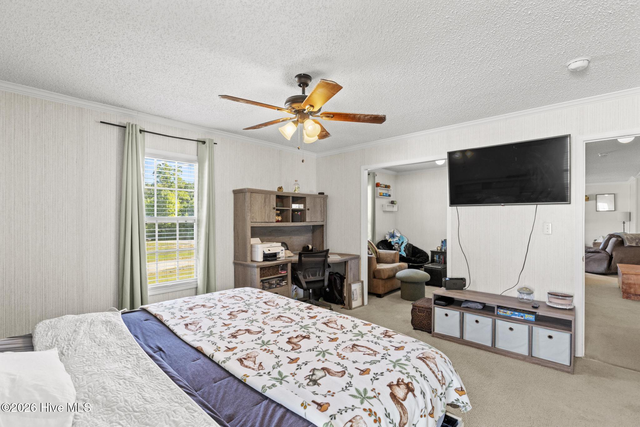 101 Cutlass Street Property Photo 22