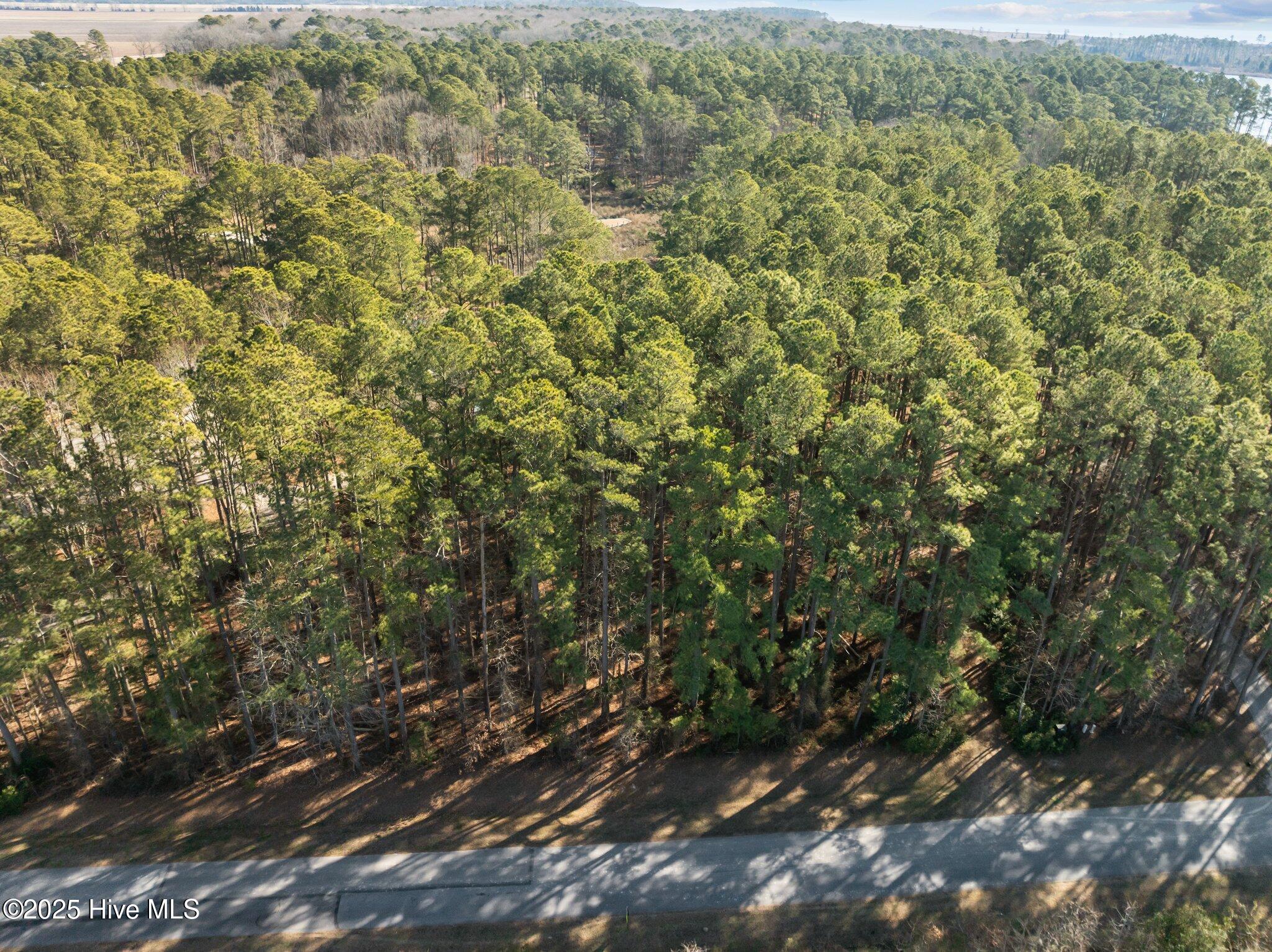 33 33 Mixon Creek Drive Property Photo 20