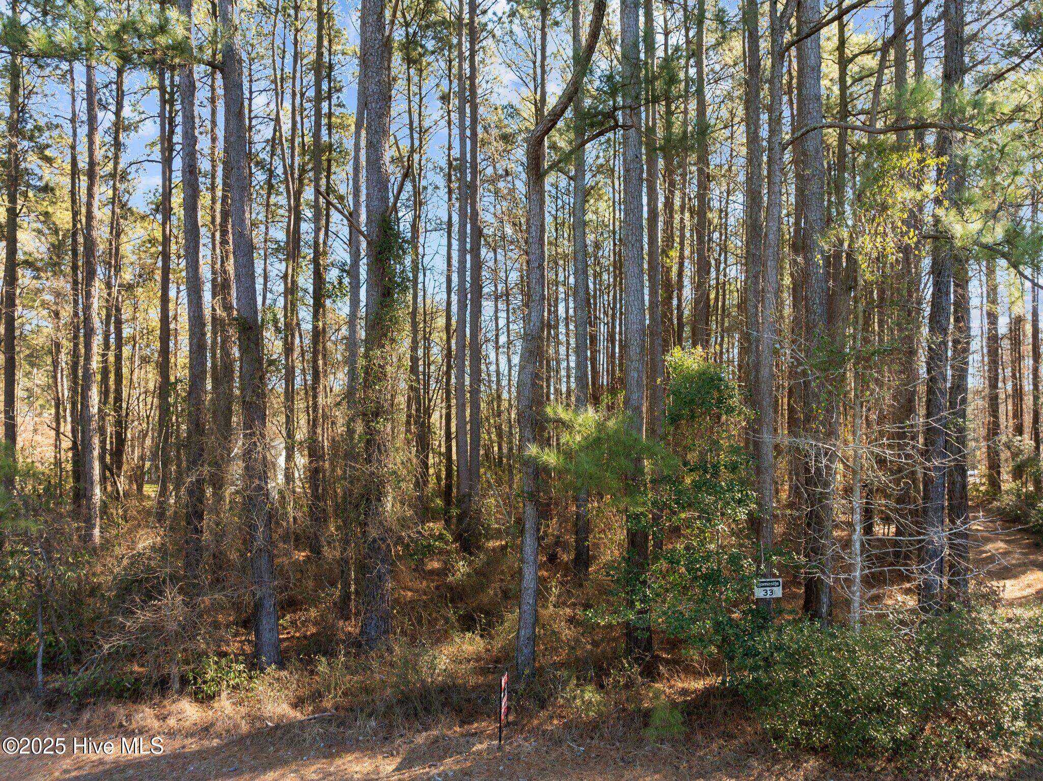 33 33 Mixon Creek Drive Property Photo 21