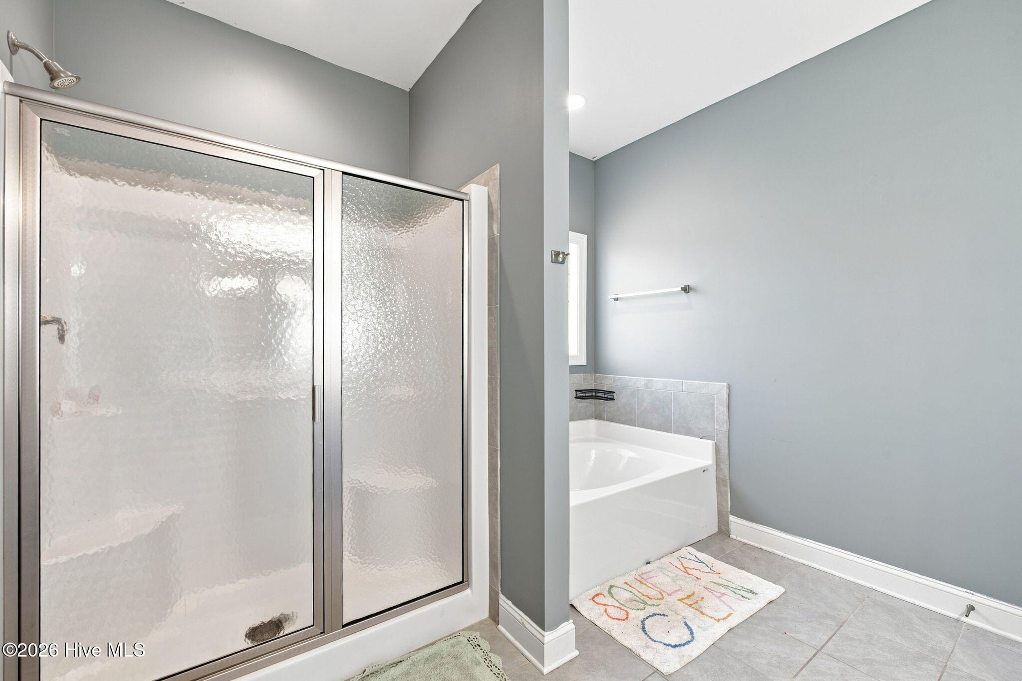 3007 Sharpnose Street Property Photo 47