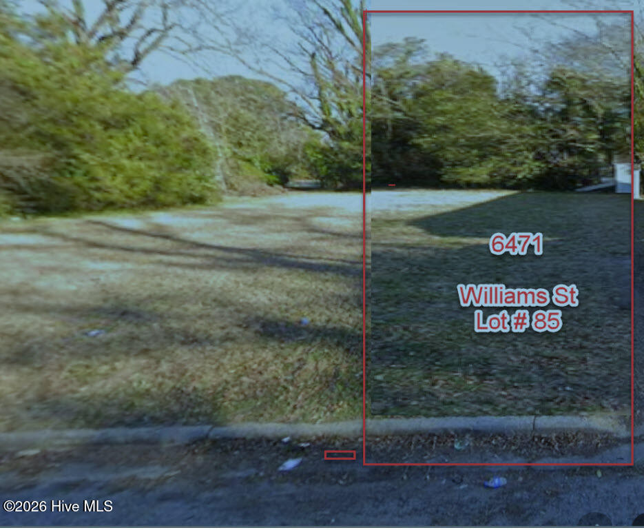 85 85 4617821004 Williams Street Property Photo 2
