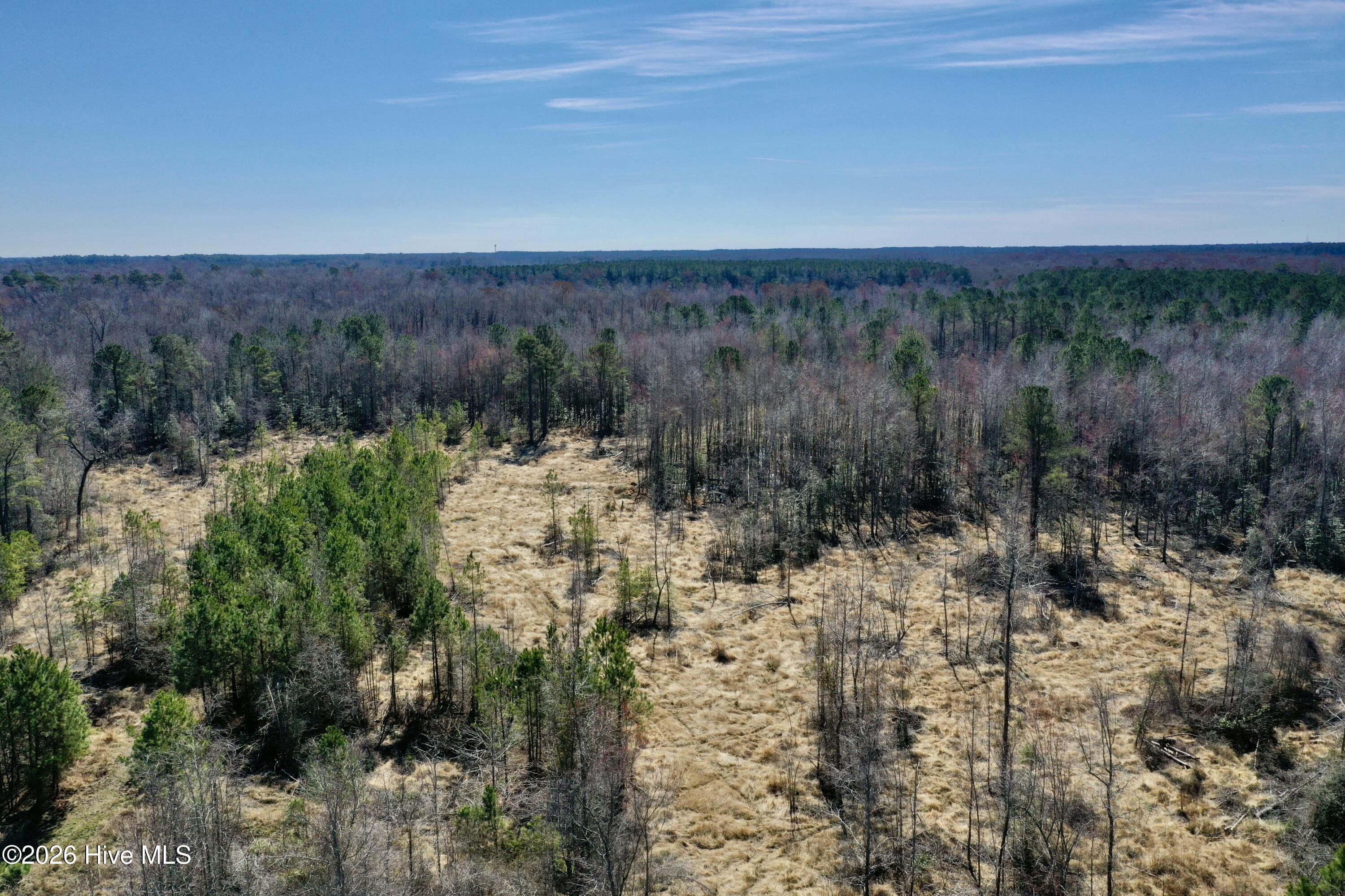 Tract 1 Haynes Lennon Highway Property Photo 3
