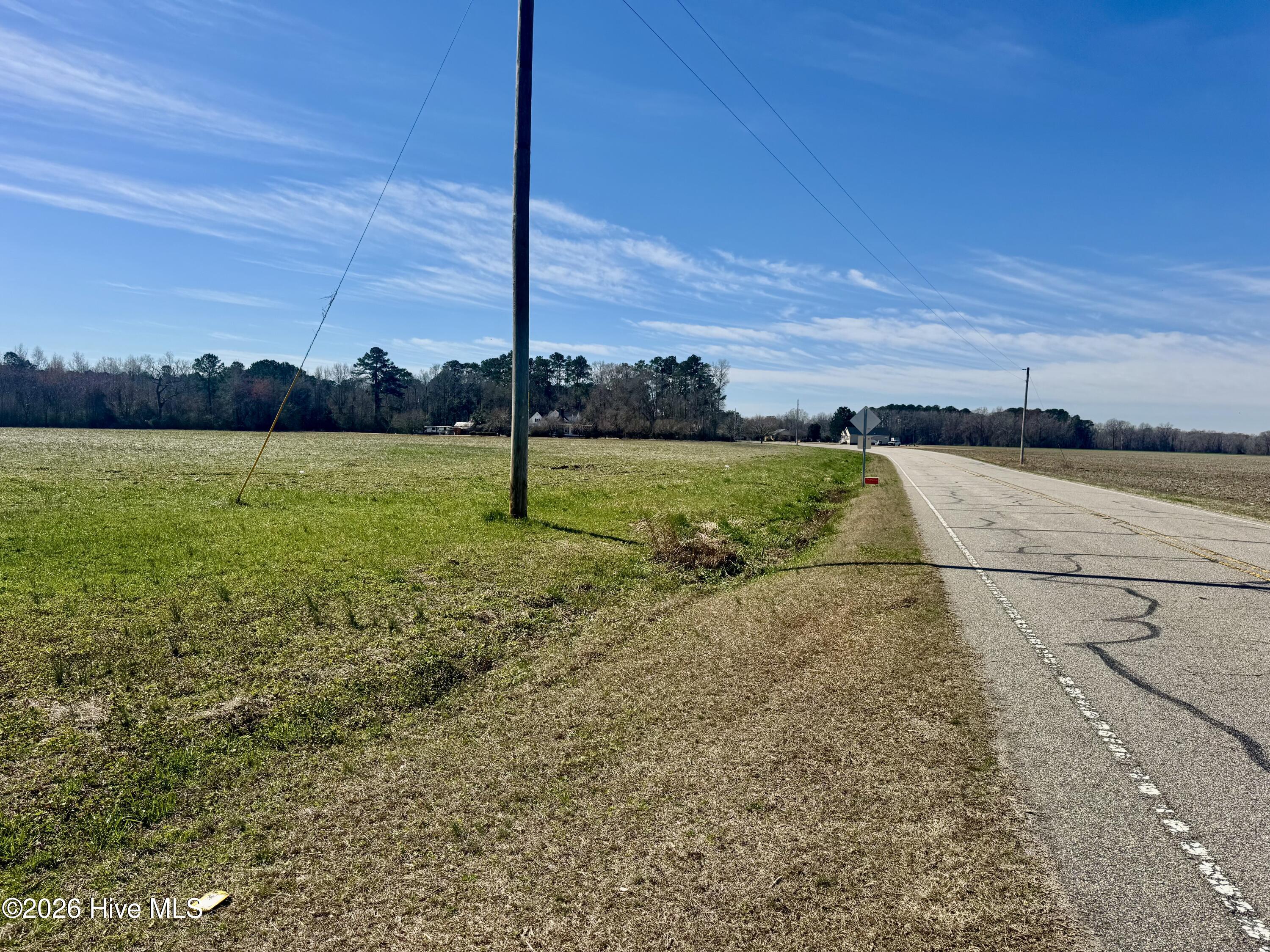 Tract 1 Haynes Lennon Highway Property Photo 6