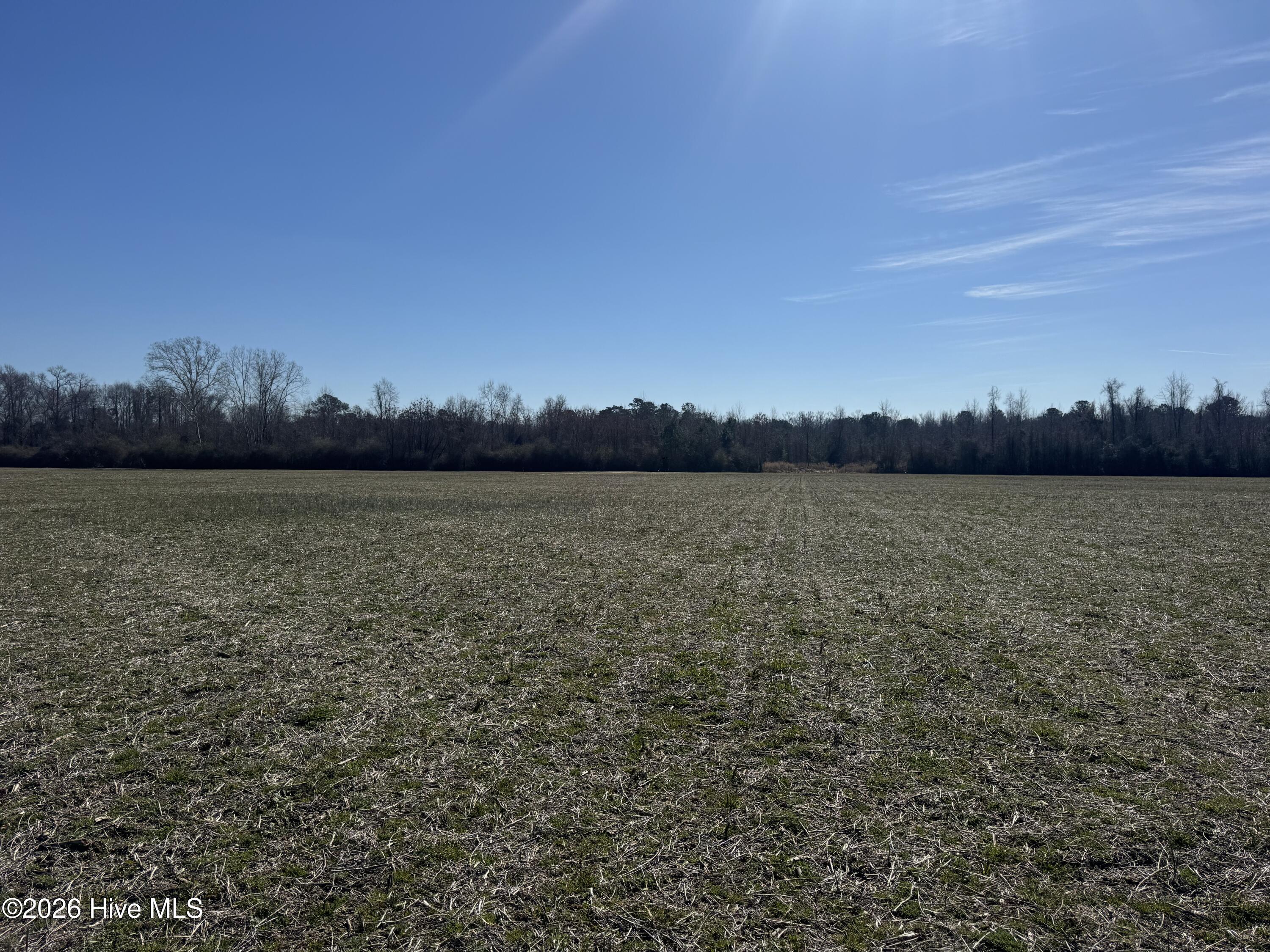 Tract 1 Haynes Lennon Highway Property Photo 8