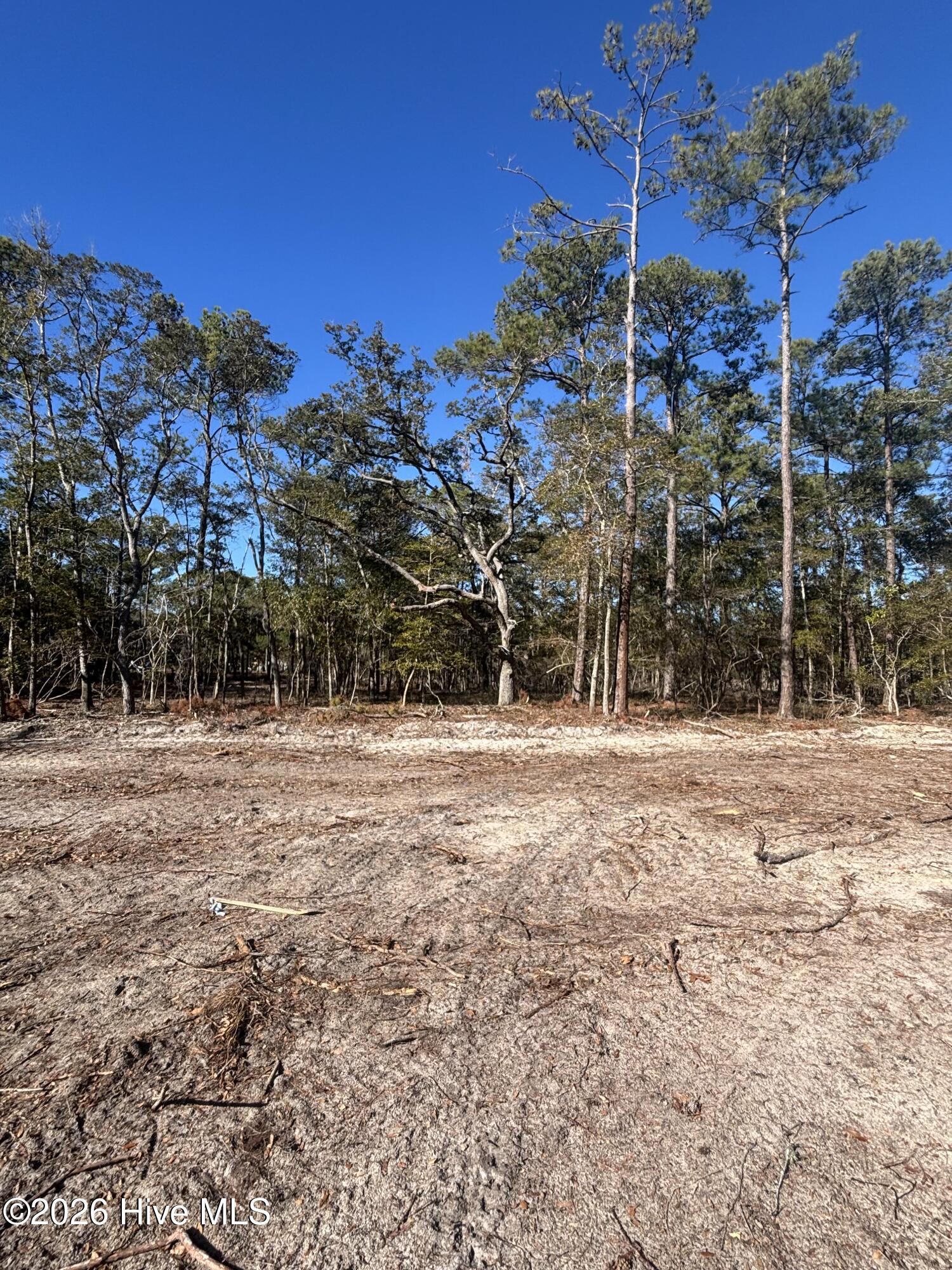 Lot 61 Peninsula Parkway Property Photo 4