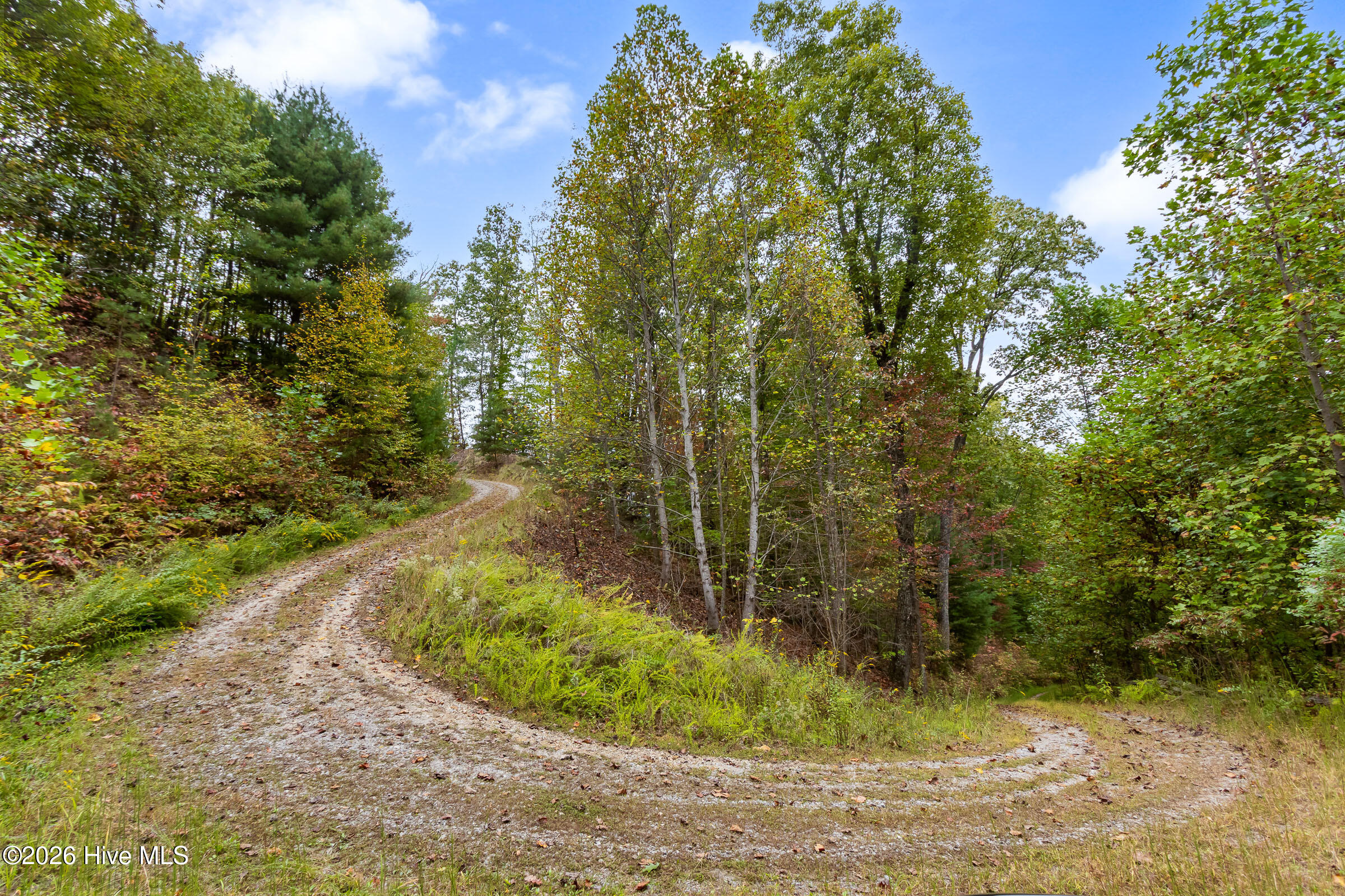 755 Wehutty Road Property Photo 103