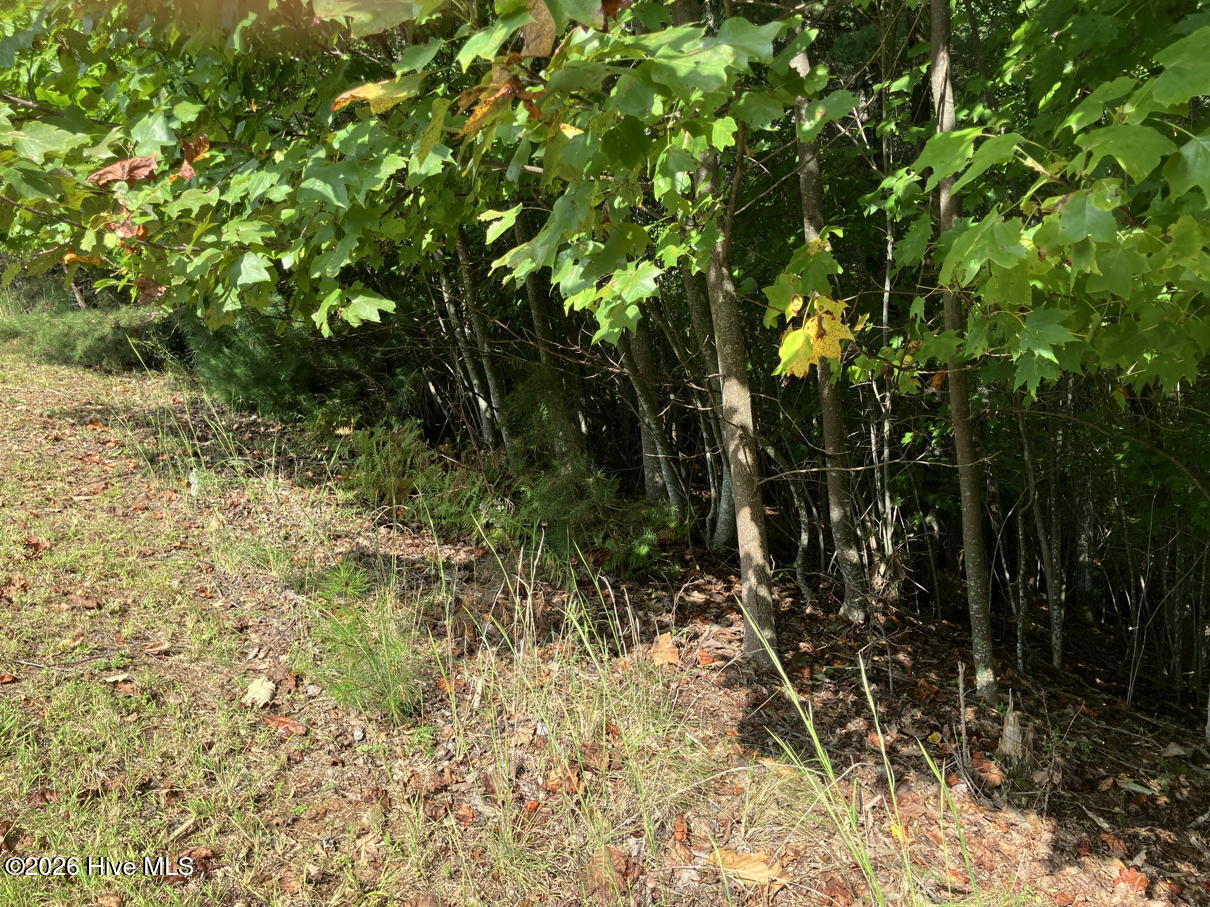9 9 Yellow Maple Drive Property Photo 3