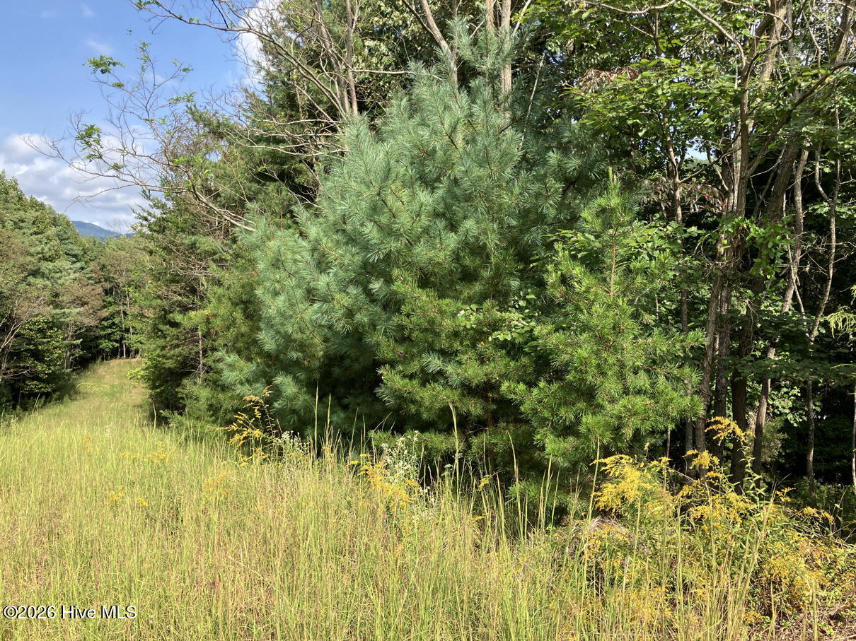 9 9 Yellow Maple Drive Property Photo 7