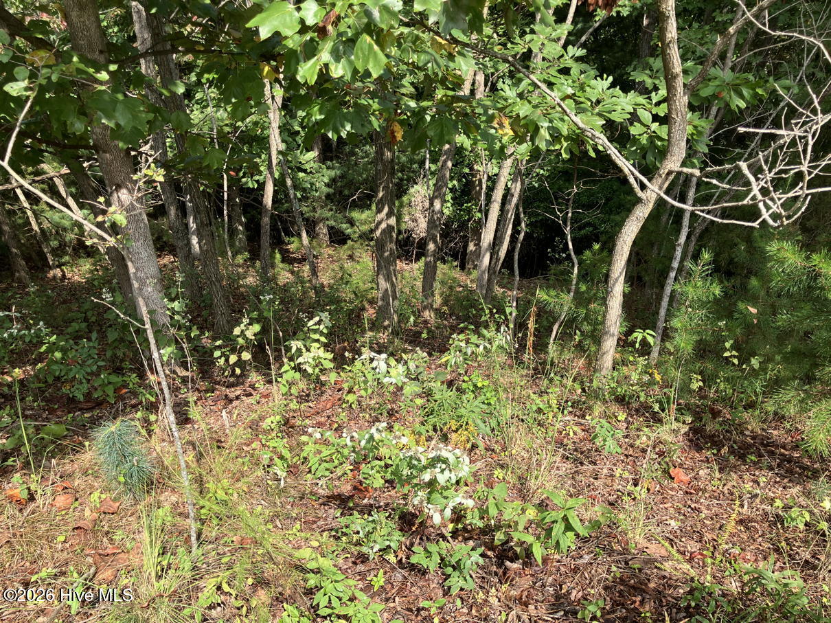 9 9 Yellow Maple Drive Property Photo 12