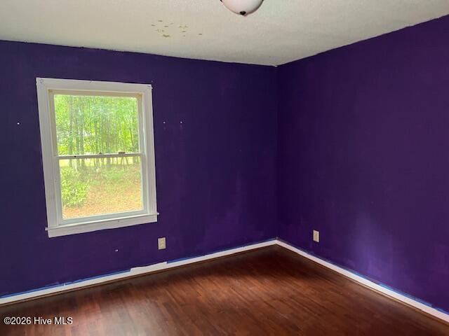 133 Perry Drive Property Photo 22