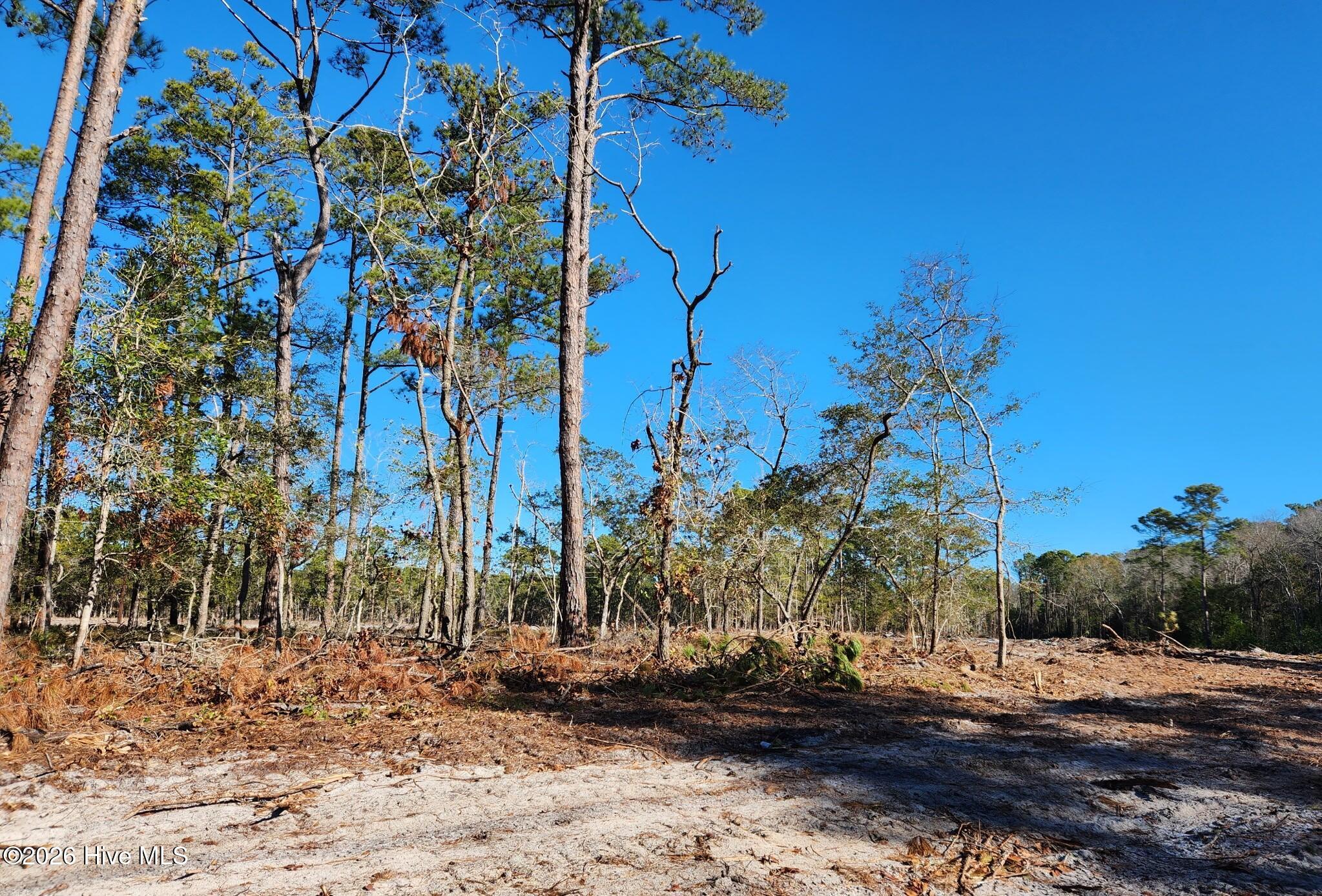 Lot 17 Fletcher Key Street Property Photo 1