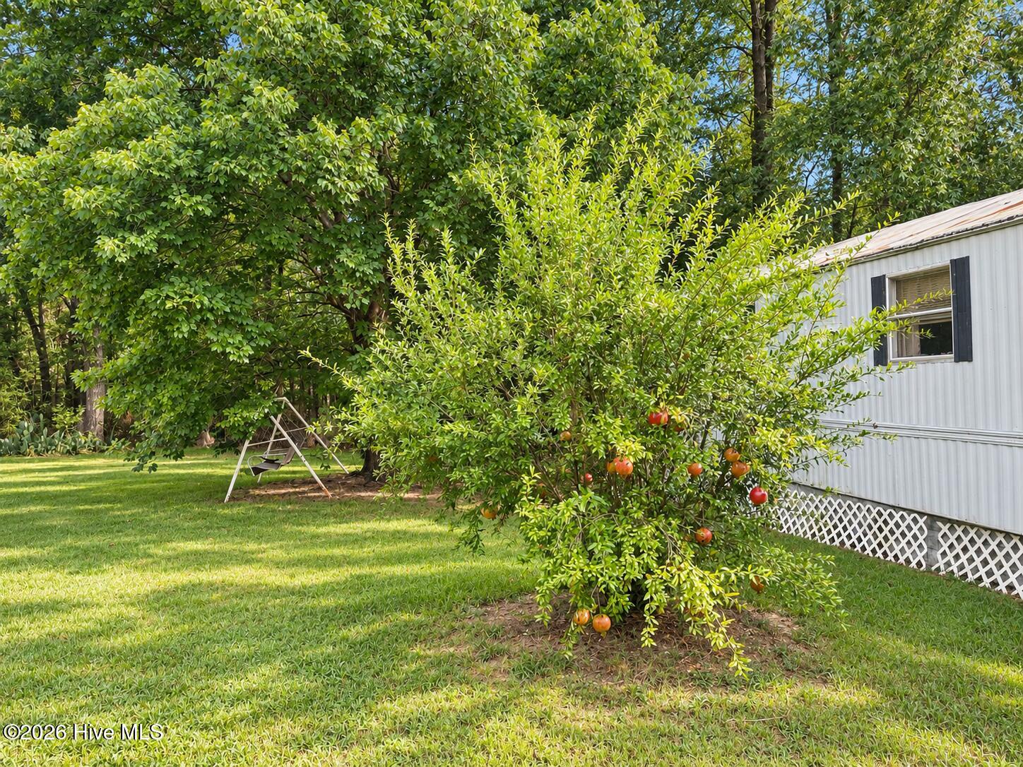1161 Water Oak Drive Property Photo 14