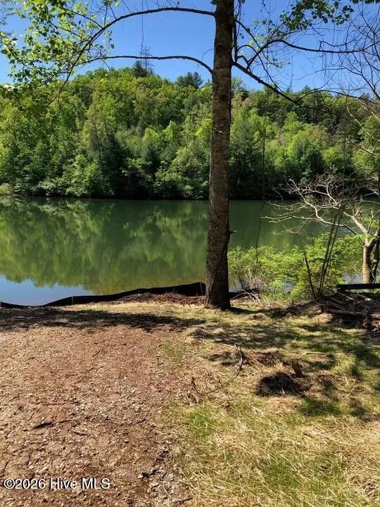 Lot 7 7 Santeetlah Ridge Property Photo 6