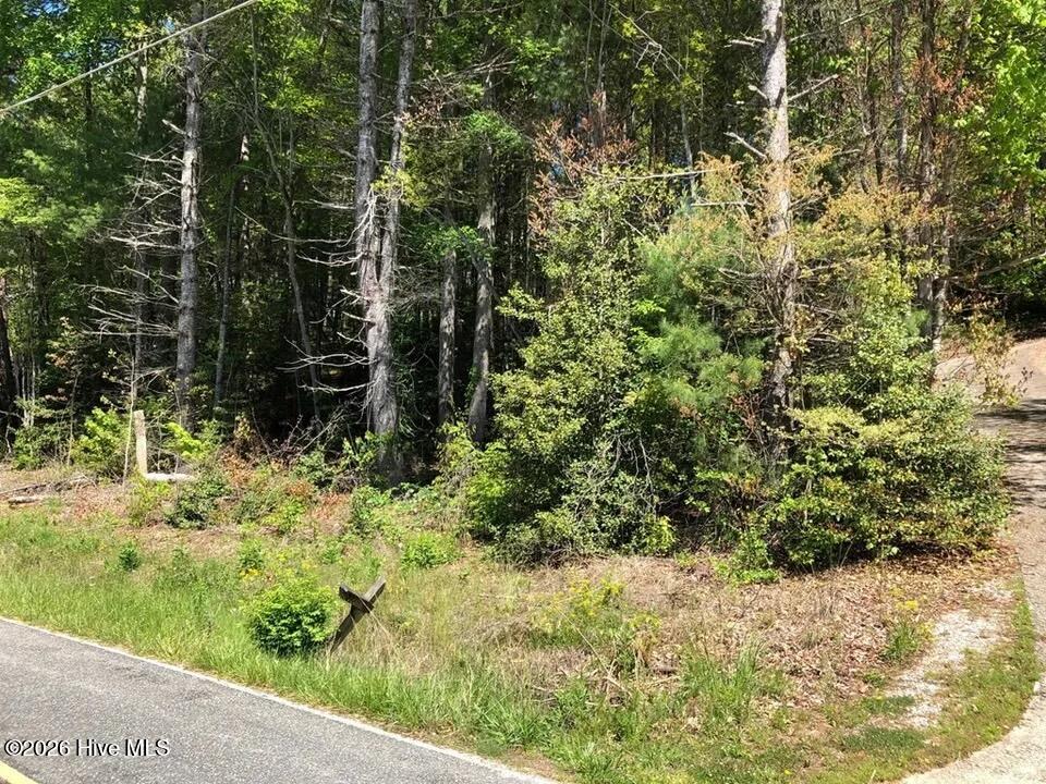 Lot 7 7 Santeetlah Ridge Property Photo 7