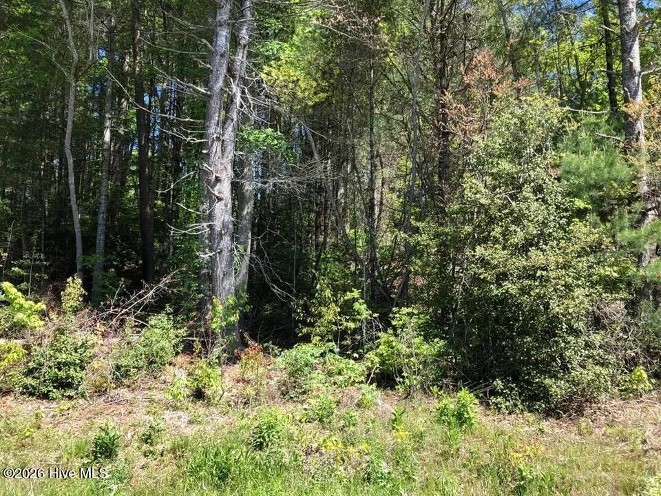 Lot 7 7 Santeetlah Ridge Property Photo 8