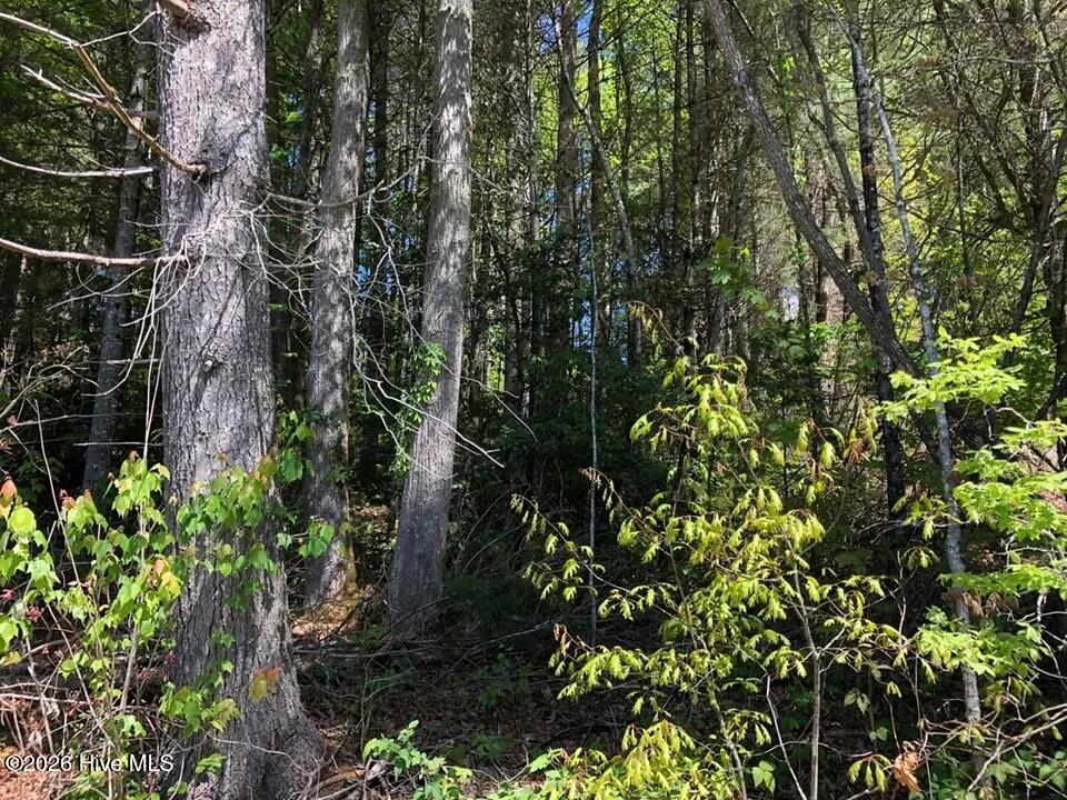 Lot 7 7 Santeetlah Ridge Property Photo 9