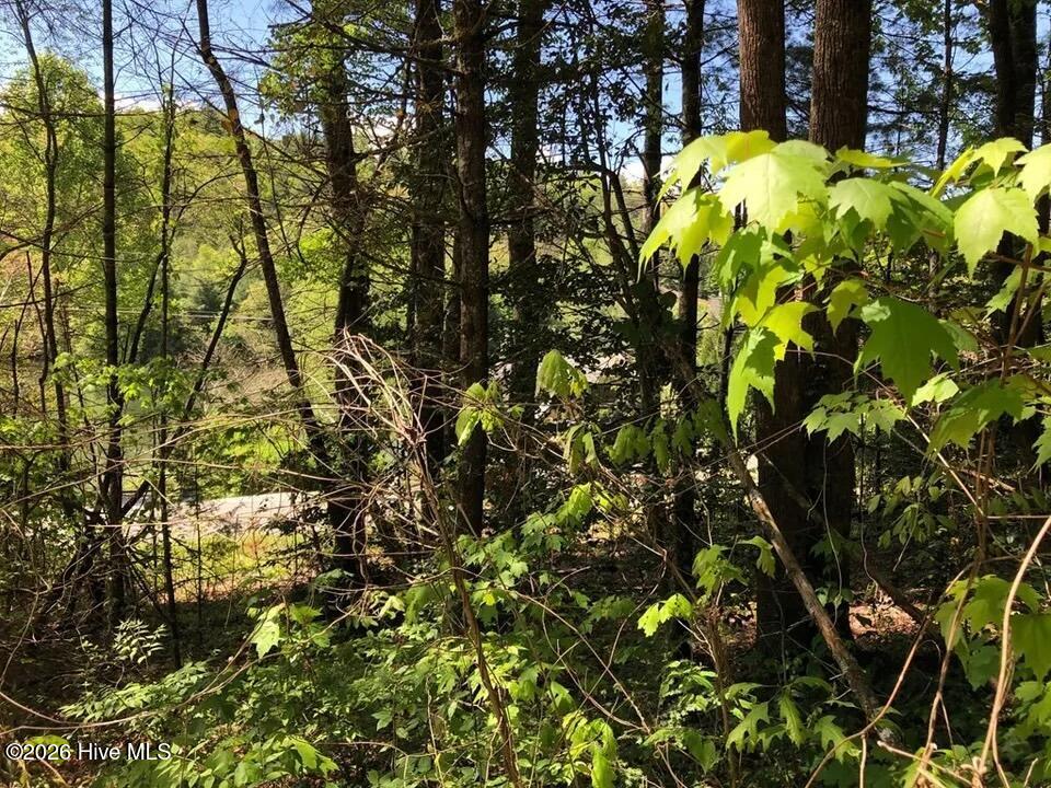 Lot 7 7 Santeetlah Ridge Property Photo 10