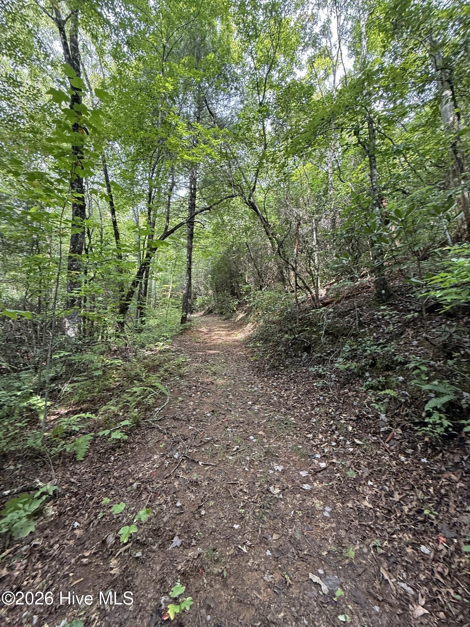 19191 U.s. Hwy 19 Property Photo 8