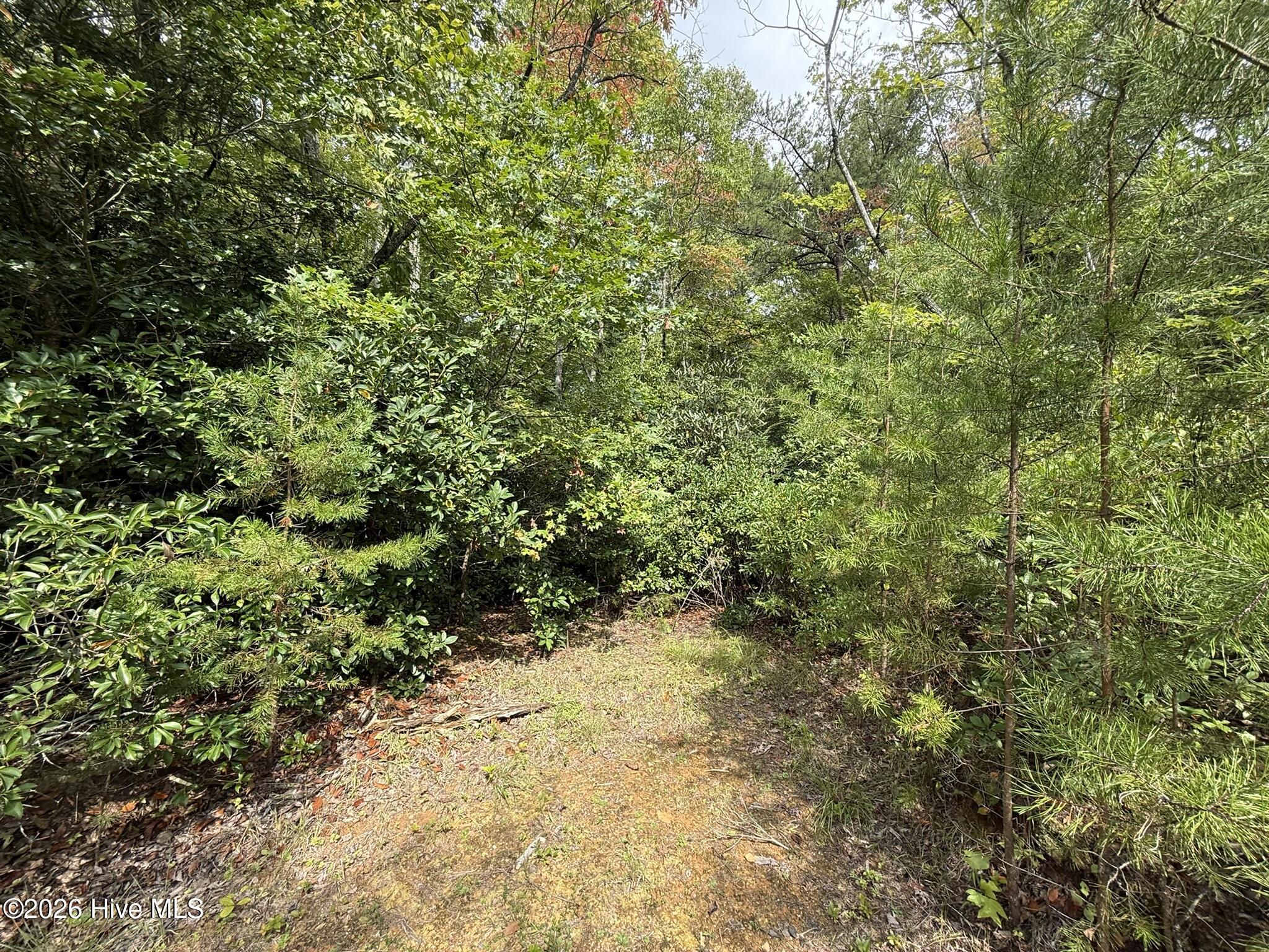 19191 U.s. Hwy 19 Property Photo 10