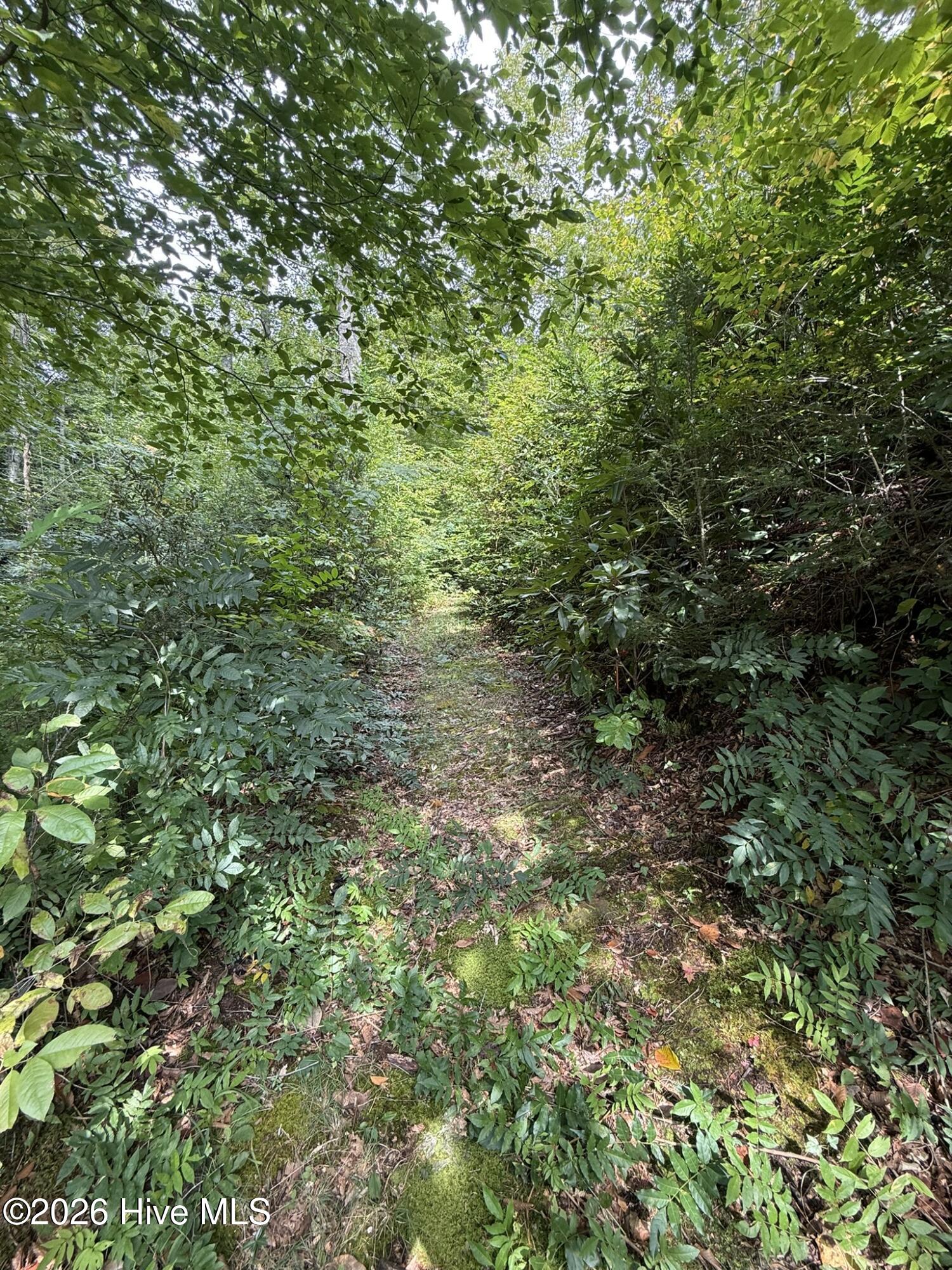 19191 U.s. Hwy 19 Property Photo 12