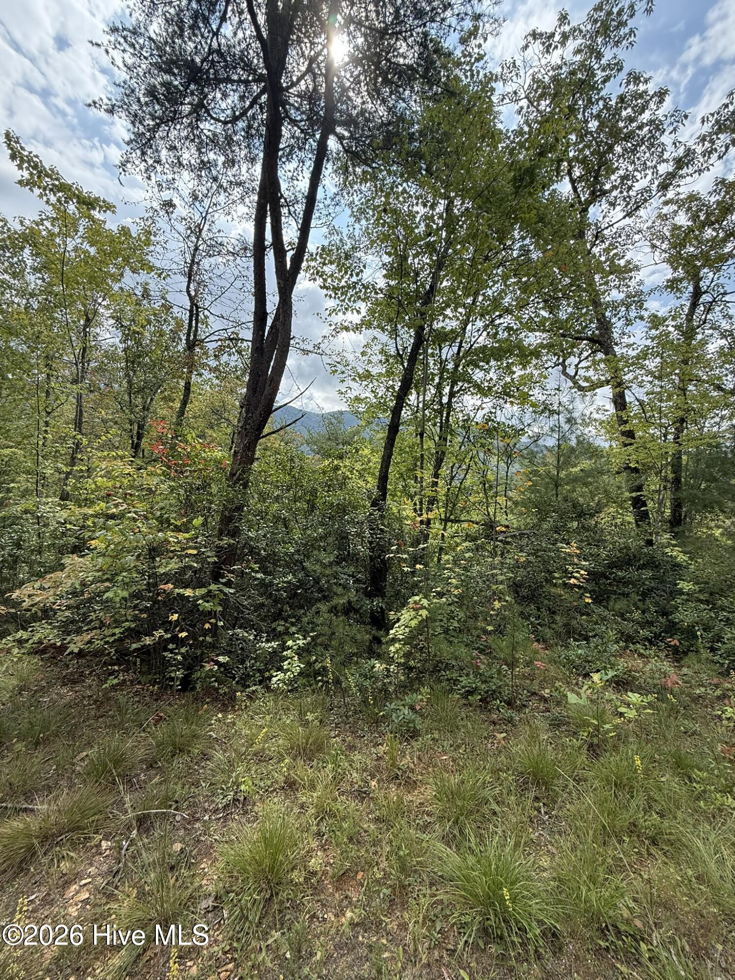 19191 U.s. Hwy 19 Property Photo 30
