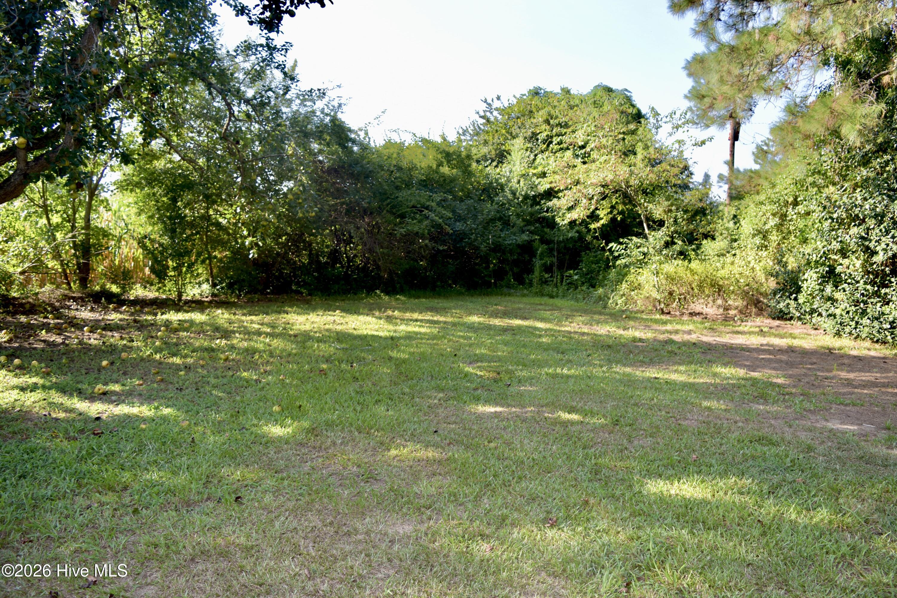 14740 Carolina 41 Property Photo 33