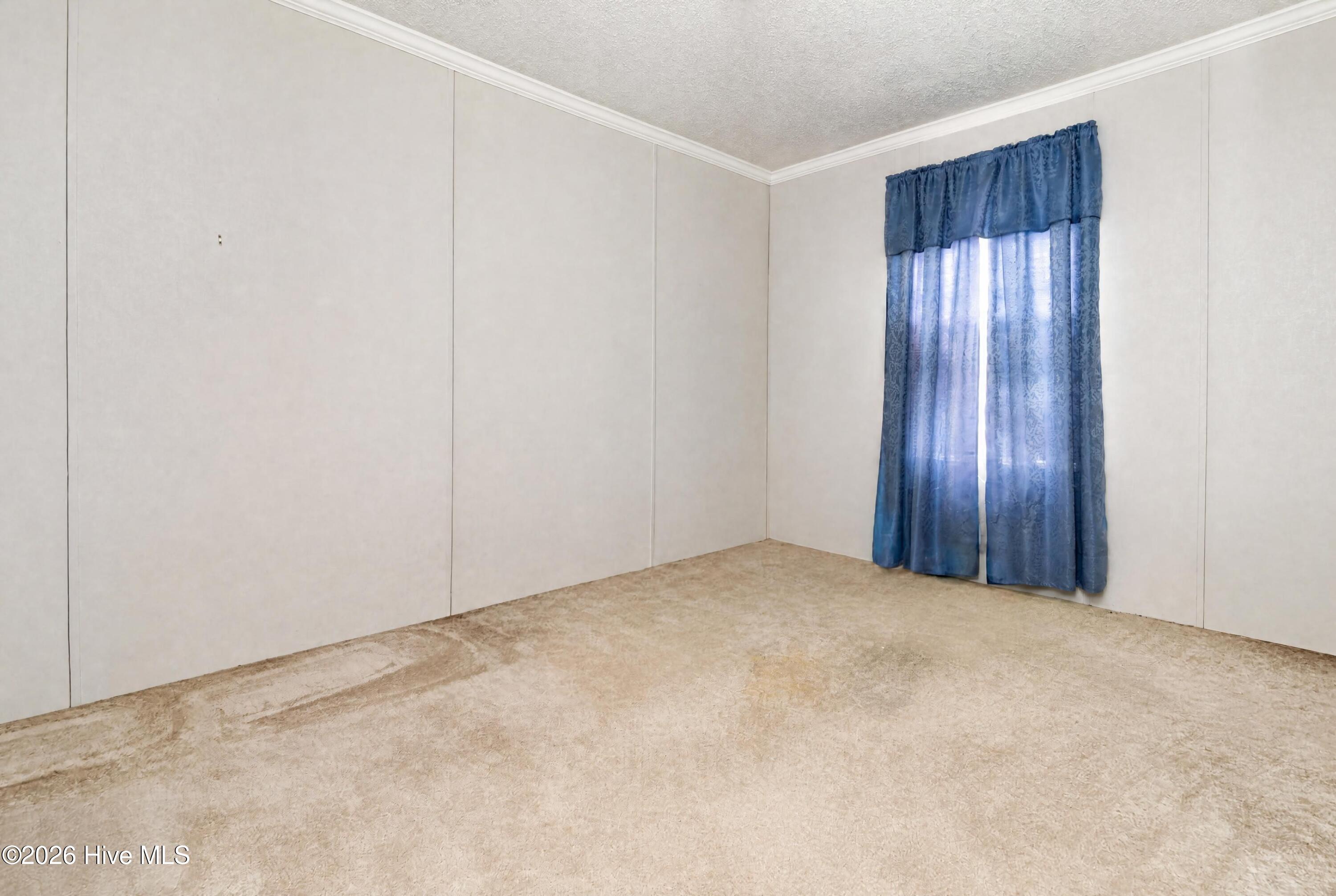 1035 W Bay Street Property Photo 15