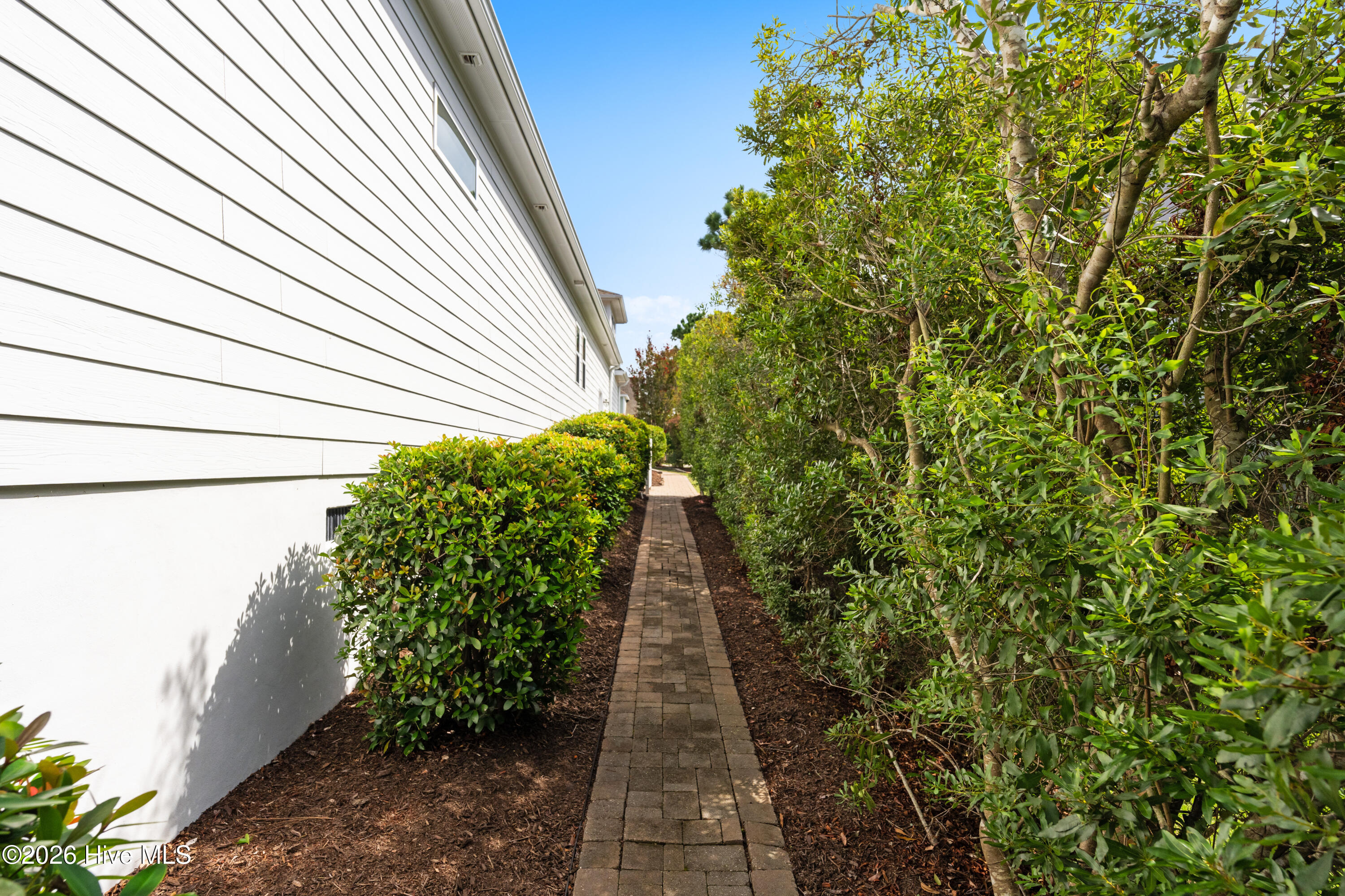 2825 Pine Forest Drive Property Photo 47