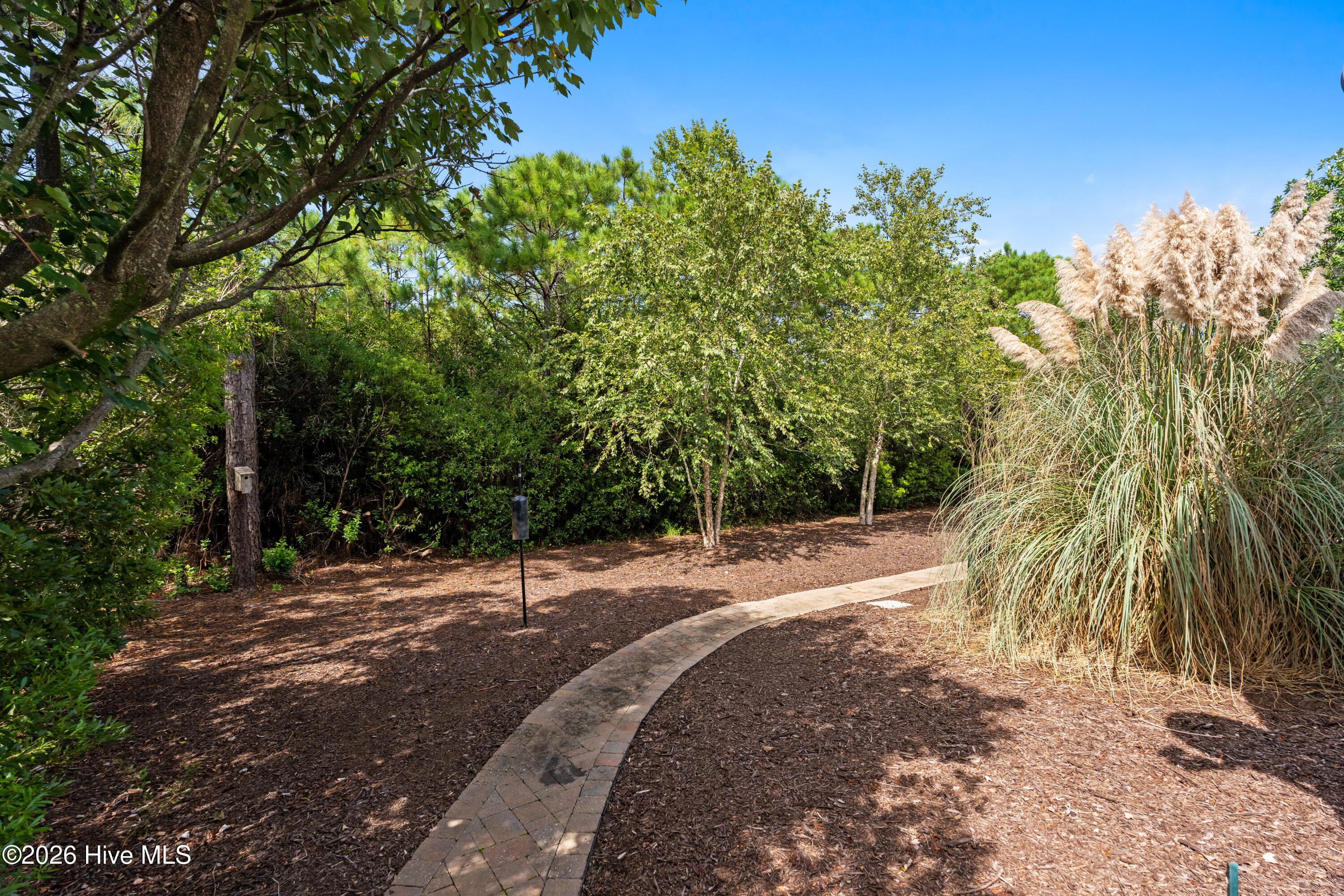 2825 Pine Forest Drive Property Photo 49