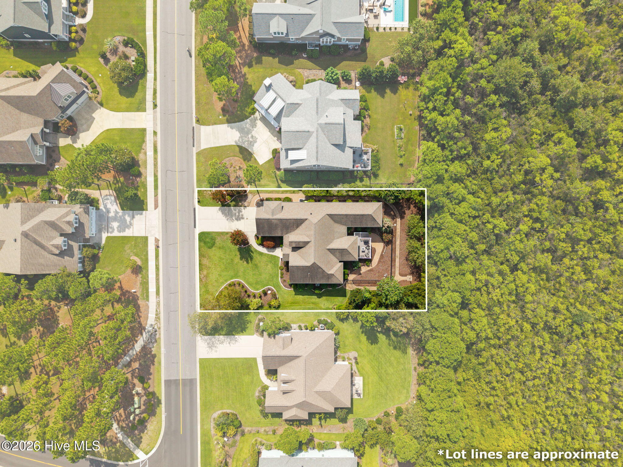 2825 Pine Forest Drive Property Photo 89