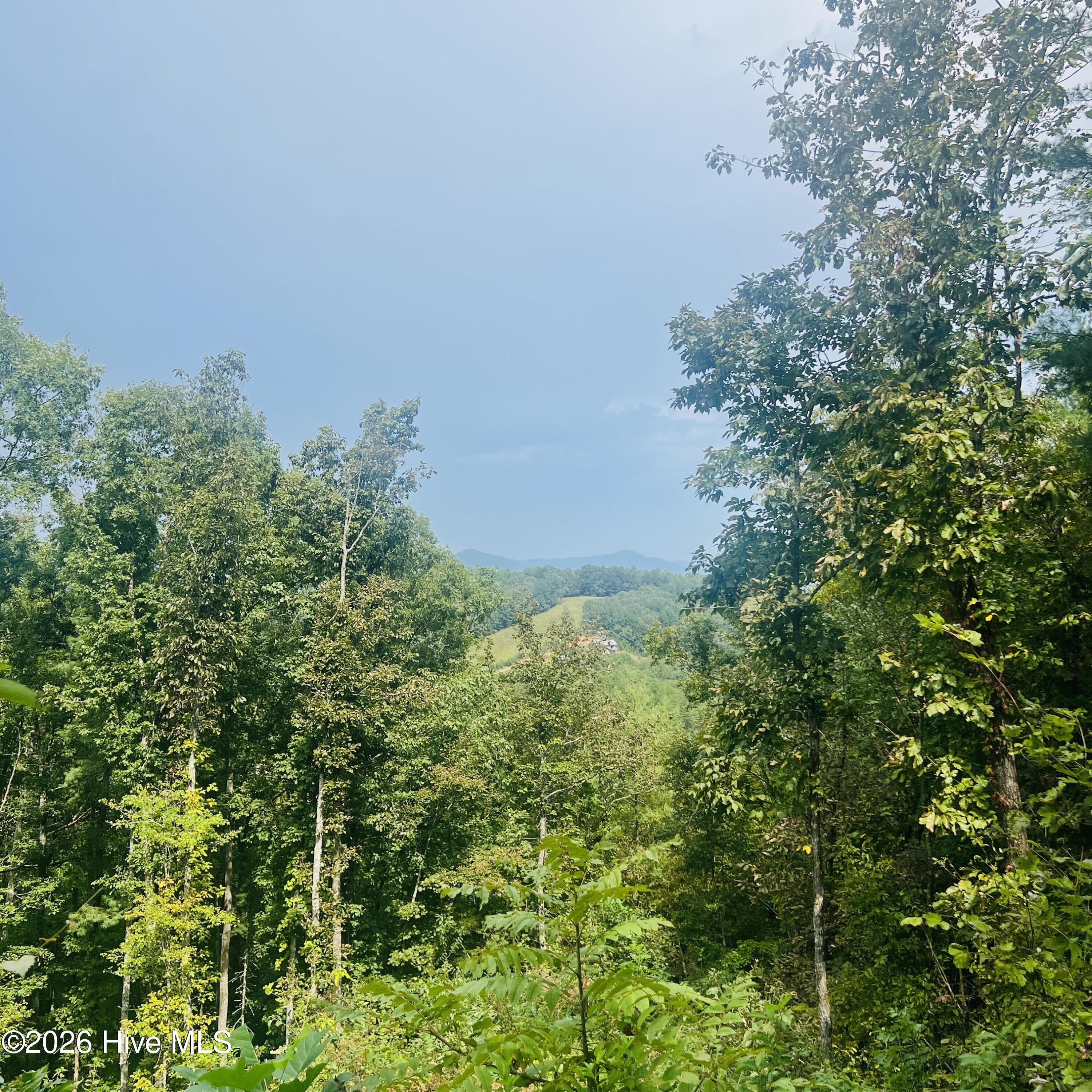 1005 Cliff Raper Road Property Photo 2
