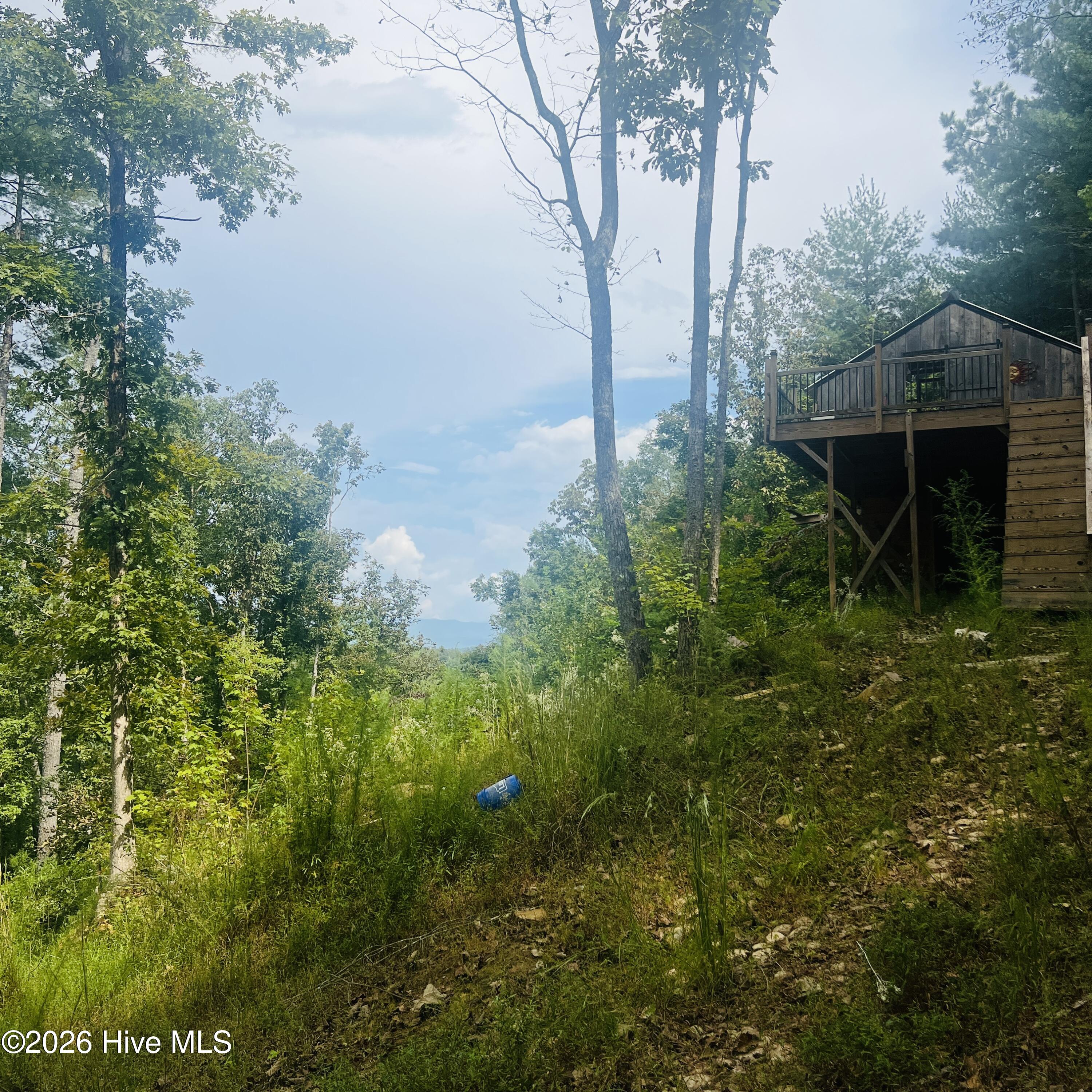 1005 Cliff Raper Road Property Photo 3