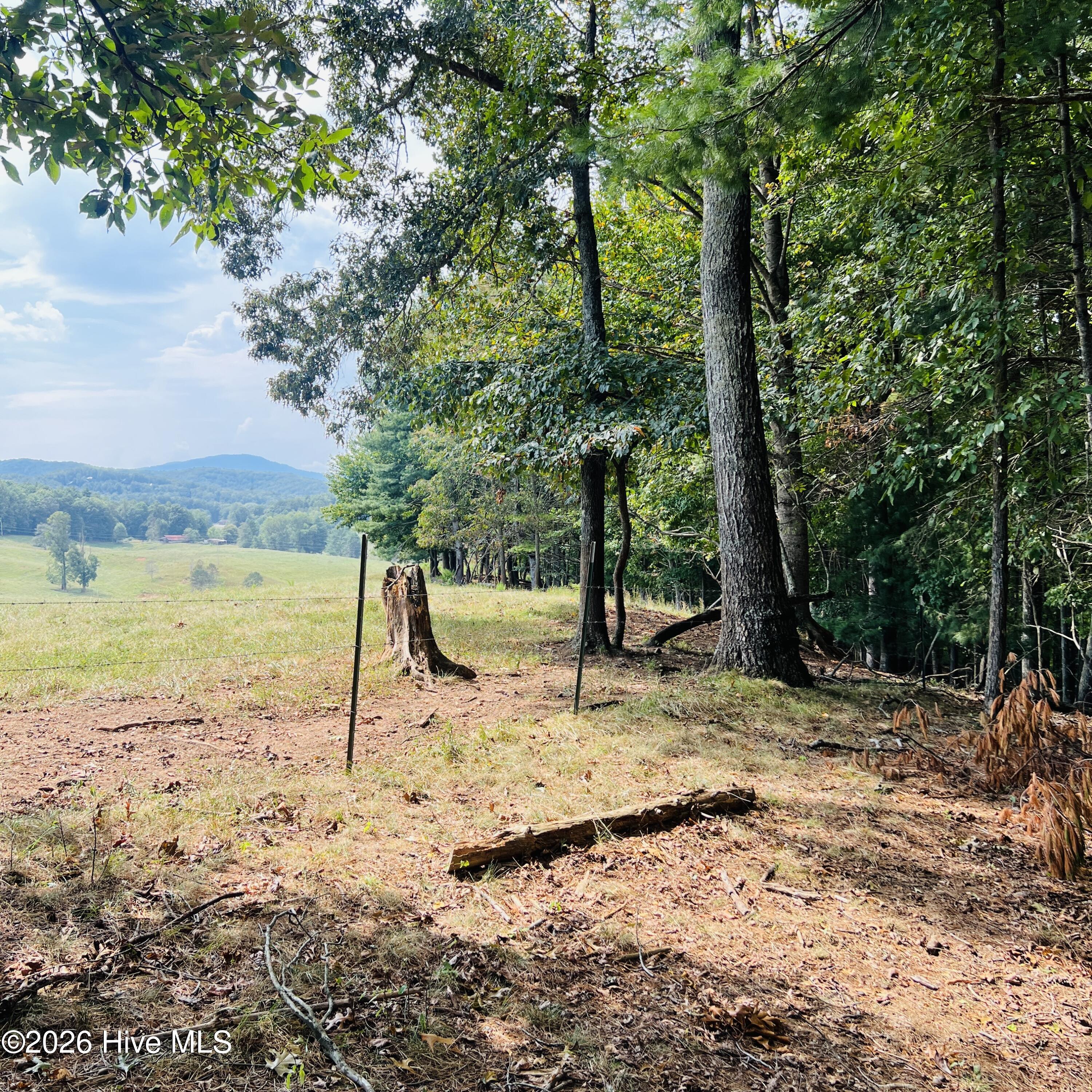 1005 Cliff Raper Road Property Photo 5