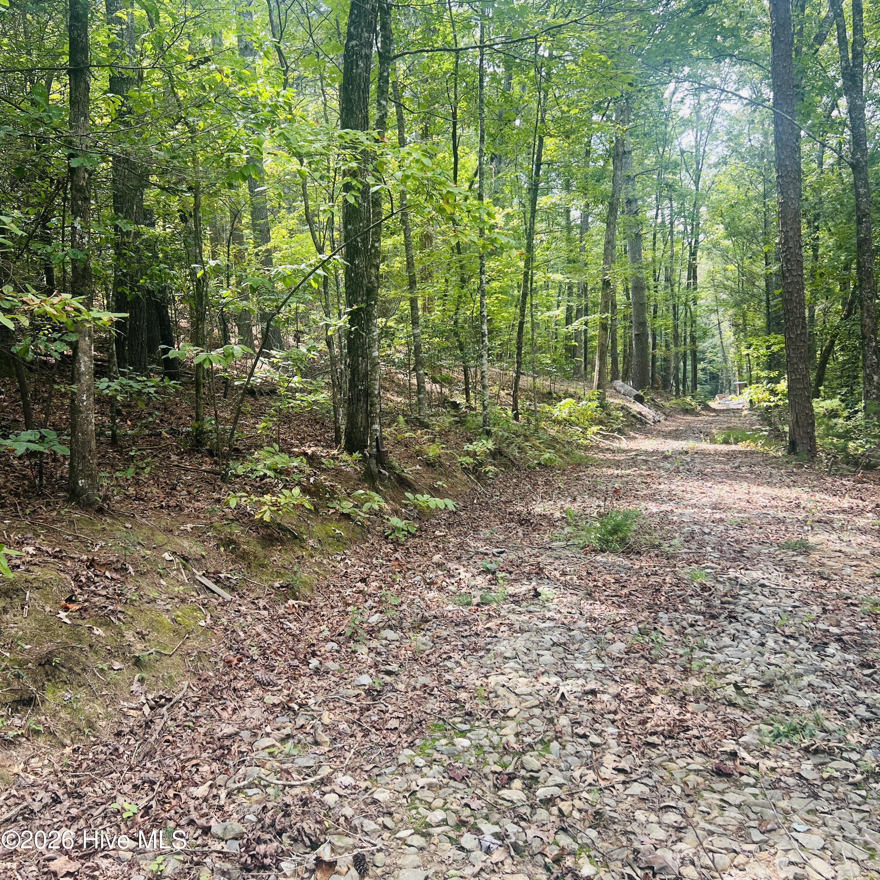 1005 Cliff Raper Road Property Photo 13