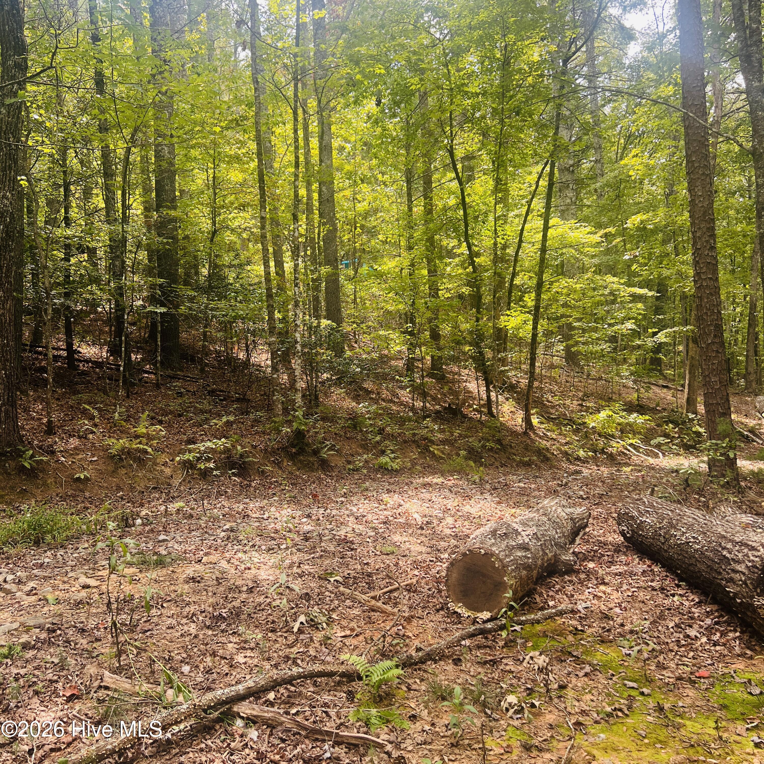1005 Cliff Raper Road Property Photo 14
