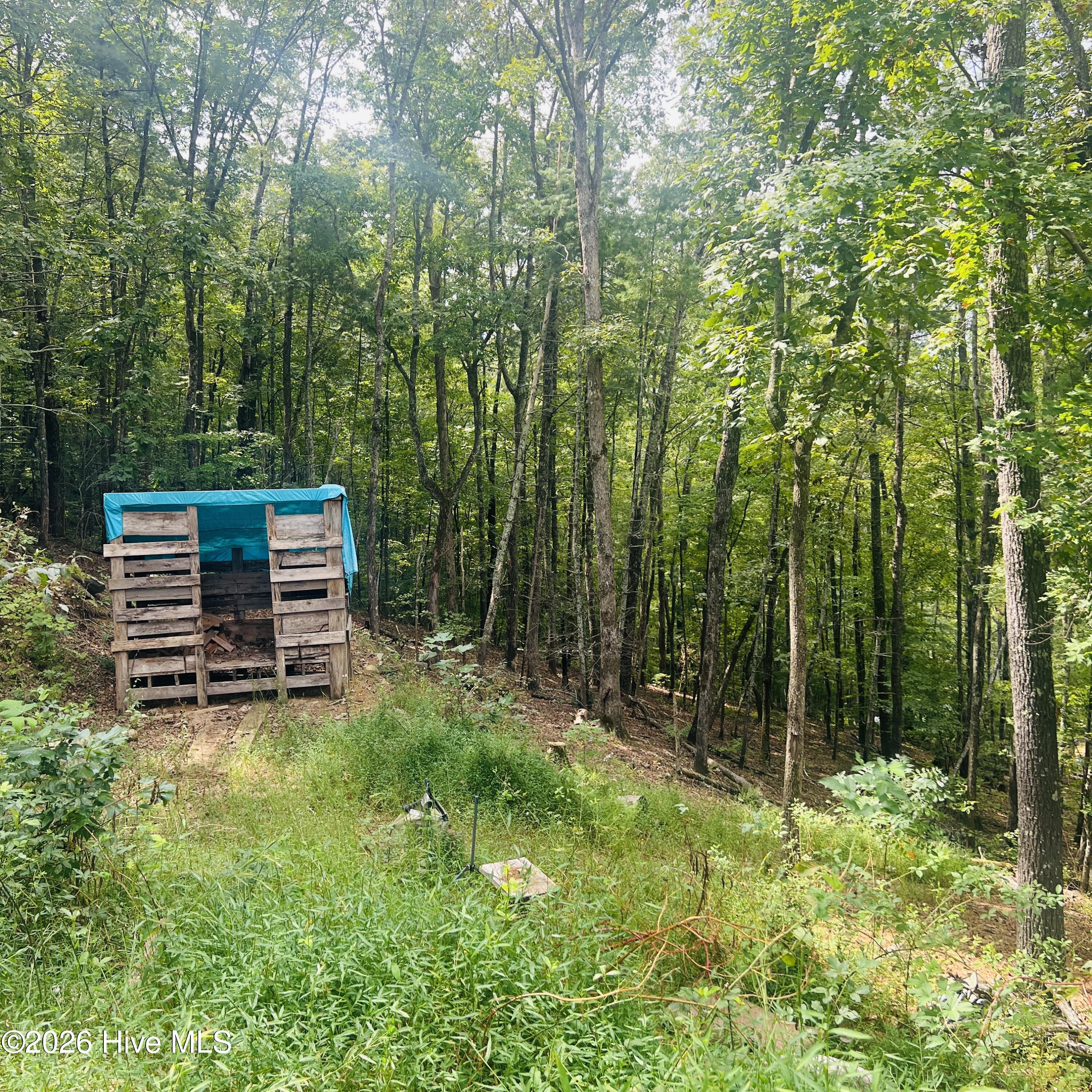 1005 Cliff Raper Road Property Photo 15
