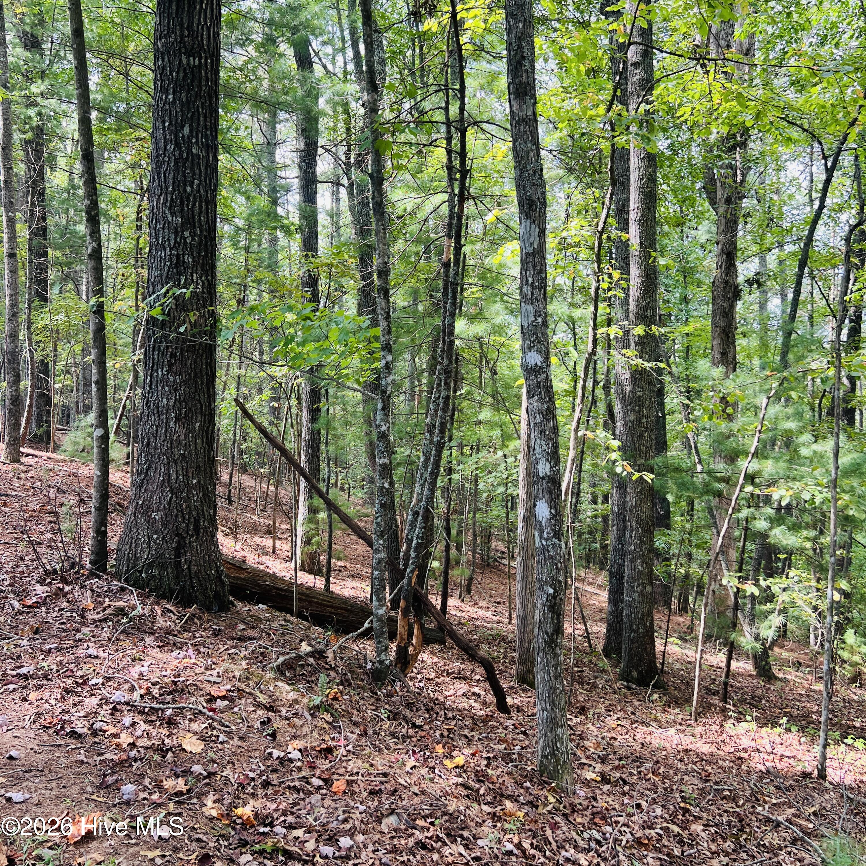 1005 Cliff Raper Road Property Photo 18