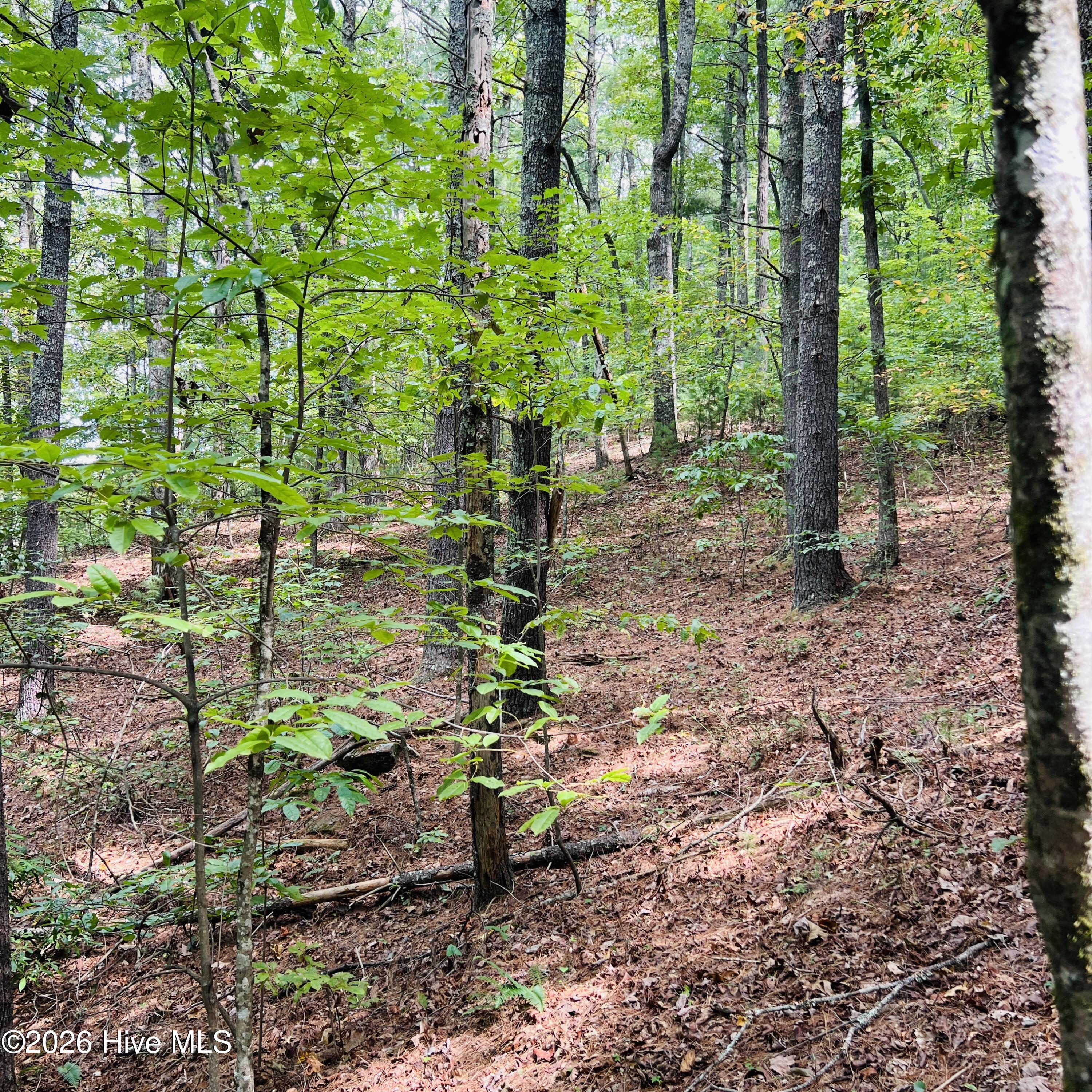 1005 Cliff Raper Road Property Photo 19