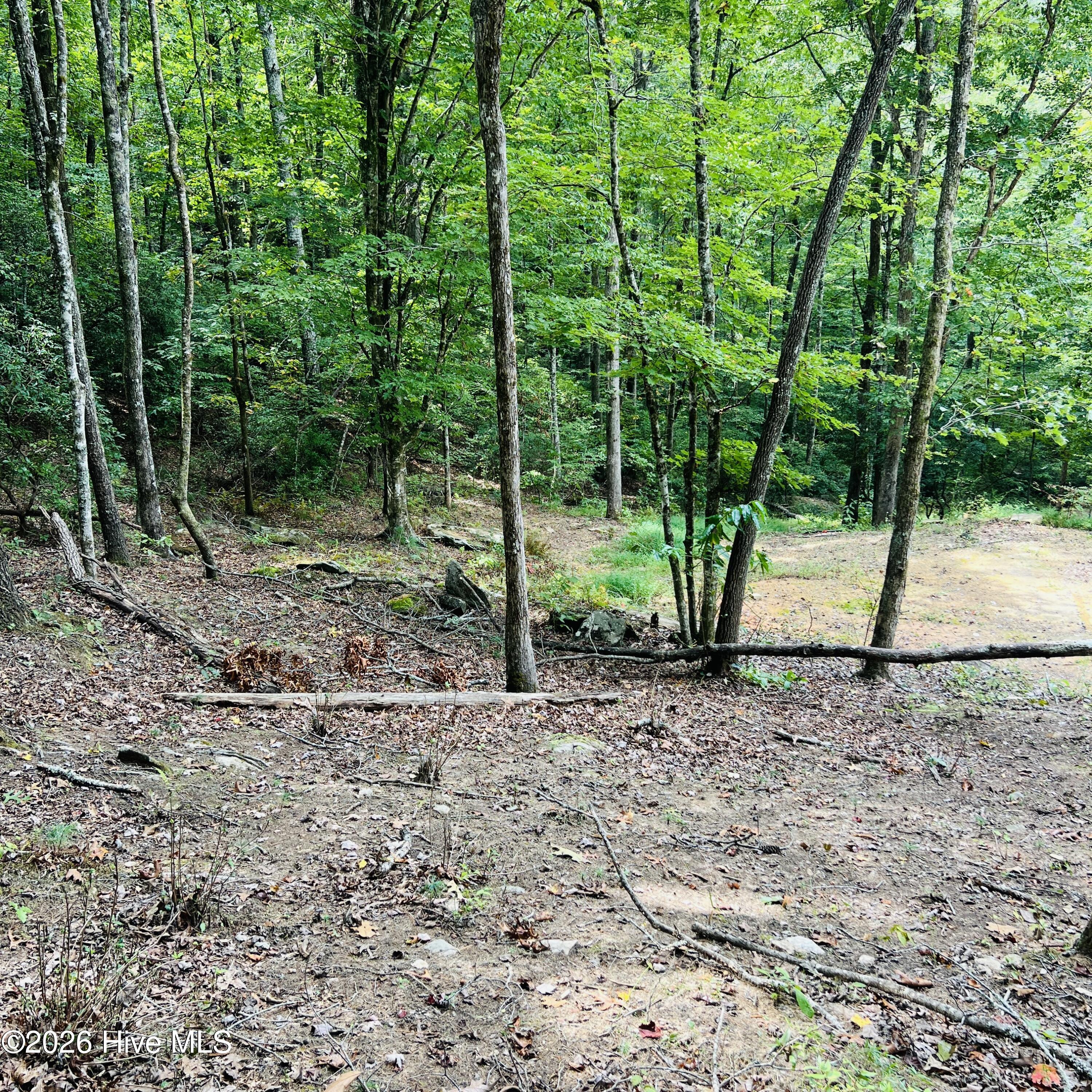 1005 Cliff Raper Road Property Photo 20