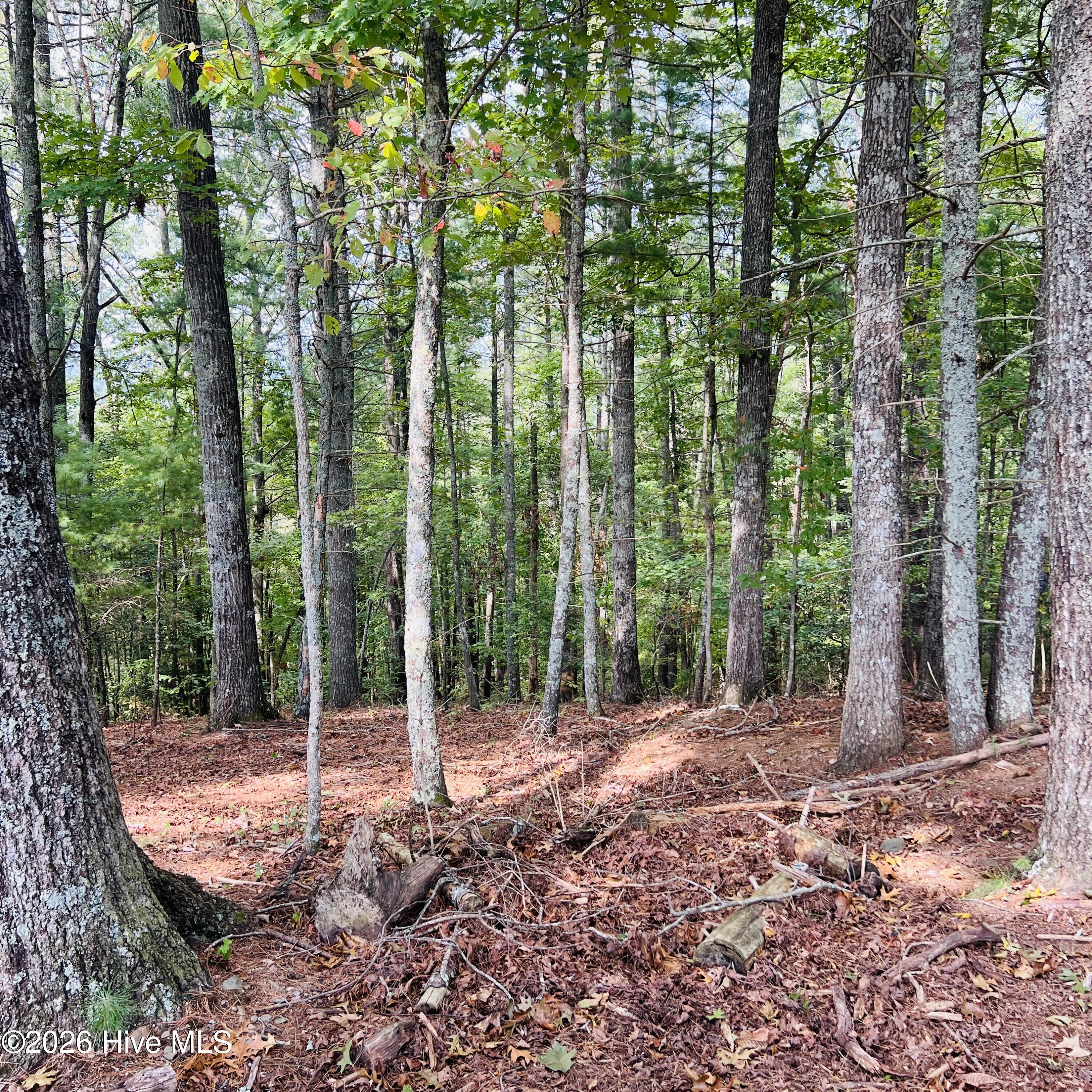 1005 Cliff Raper Road Property Photo 22