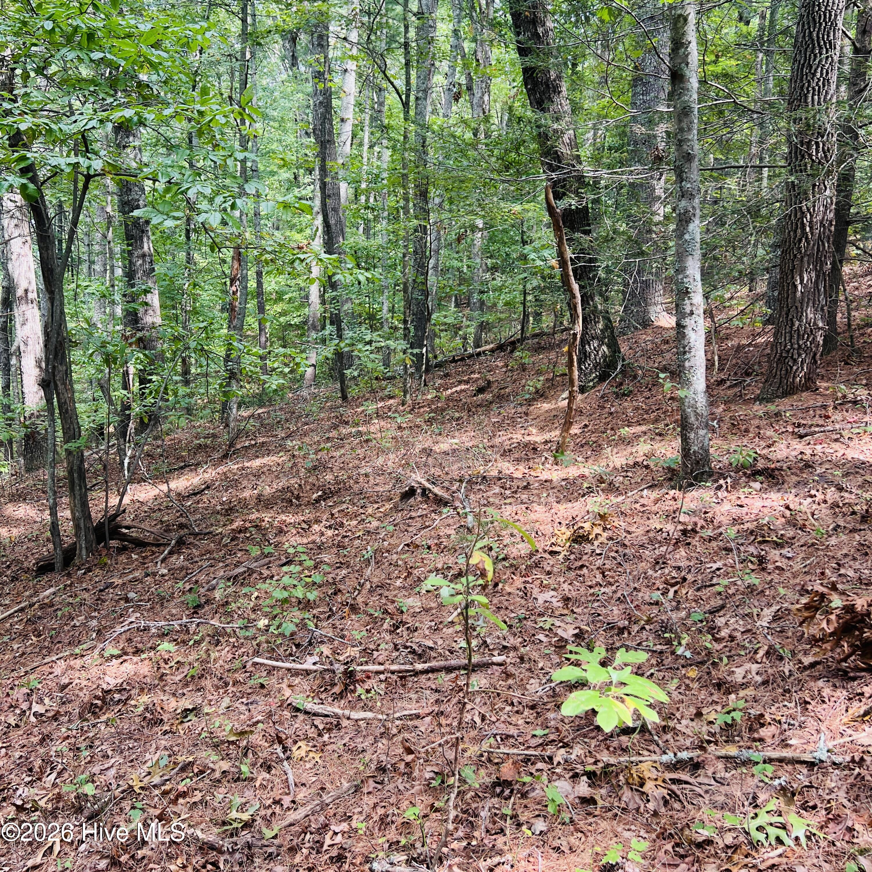 1005 Cliff Raper Road Property Photo 23