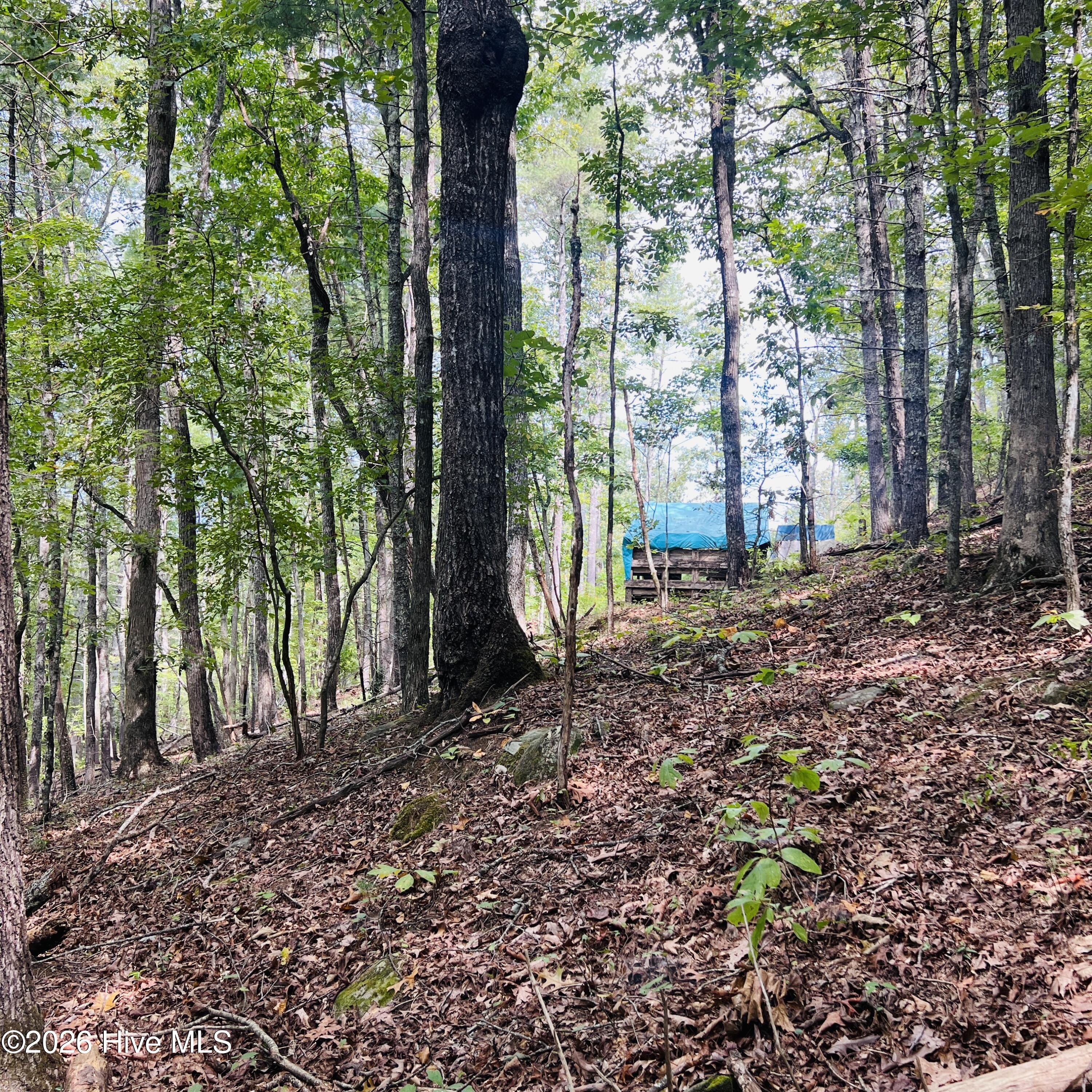1005 Cliff Raper Road Property Photo 25