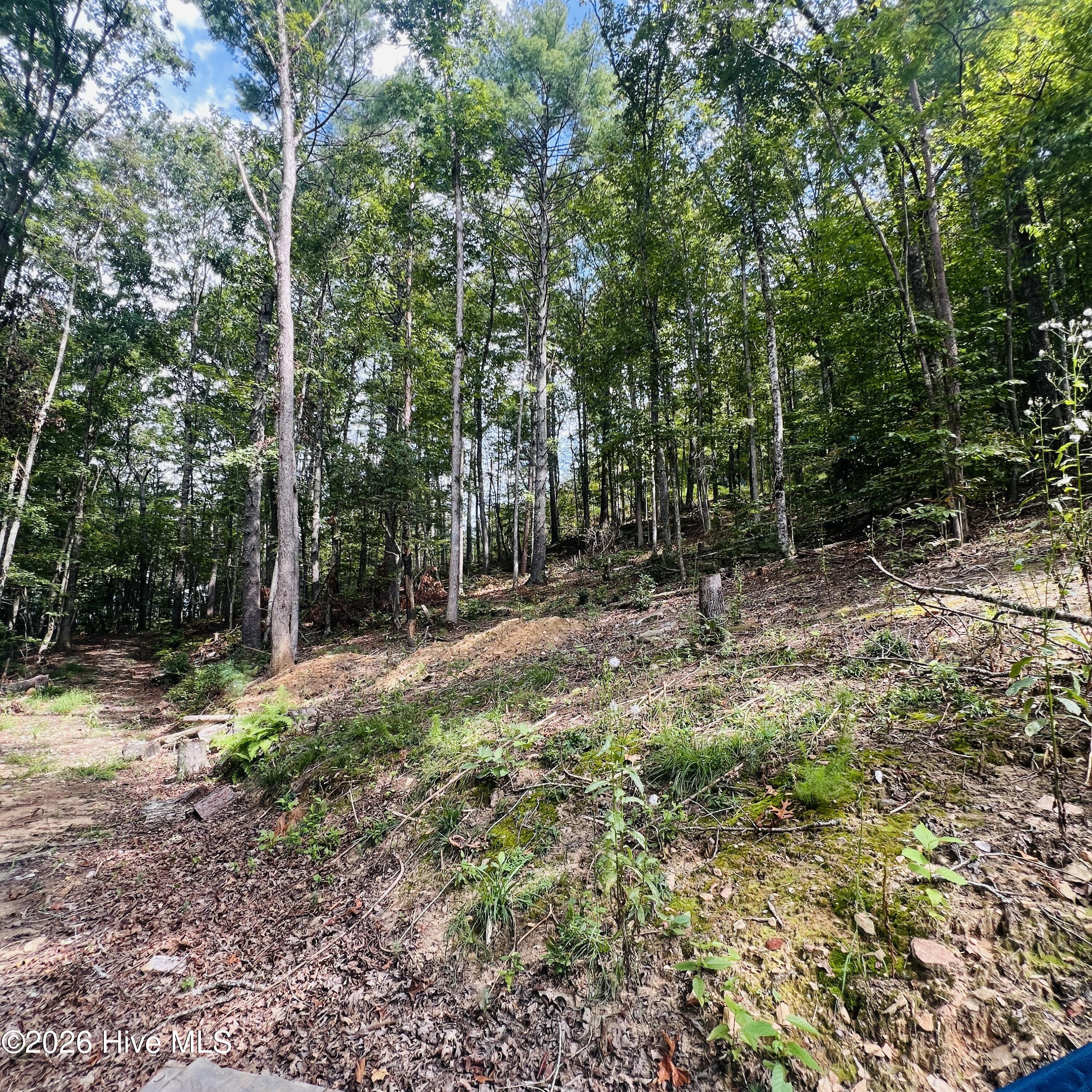 1005 Cliff Raper Road Property Photo 27