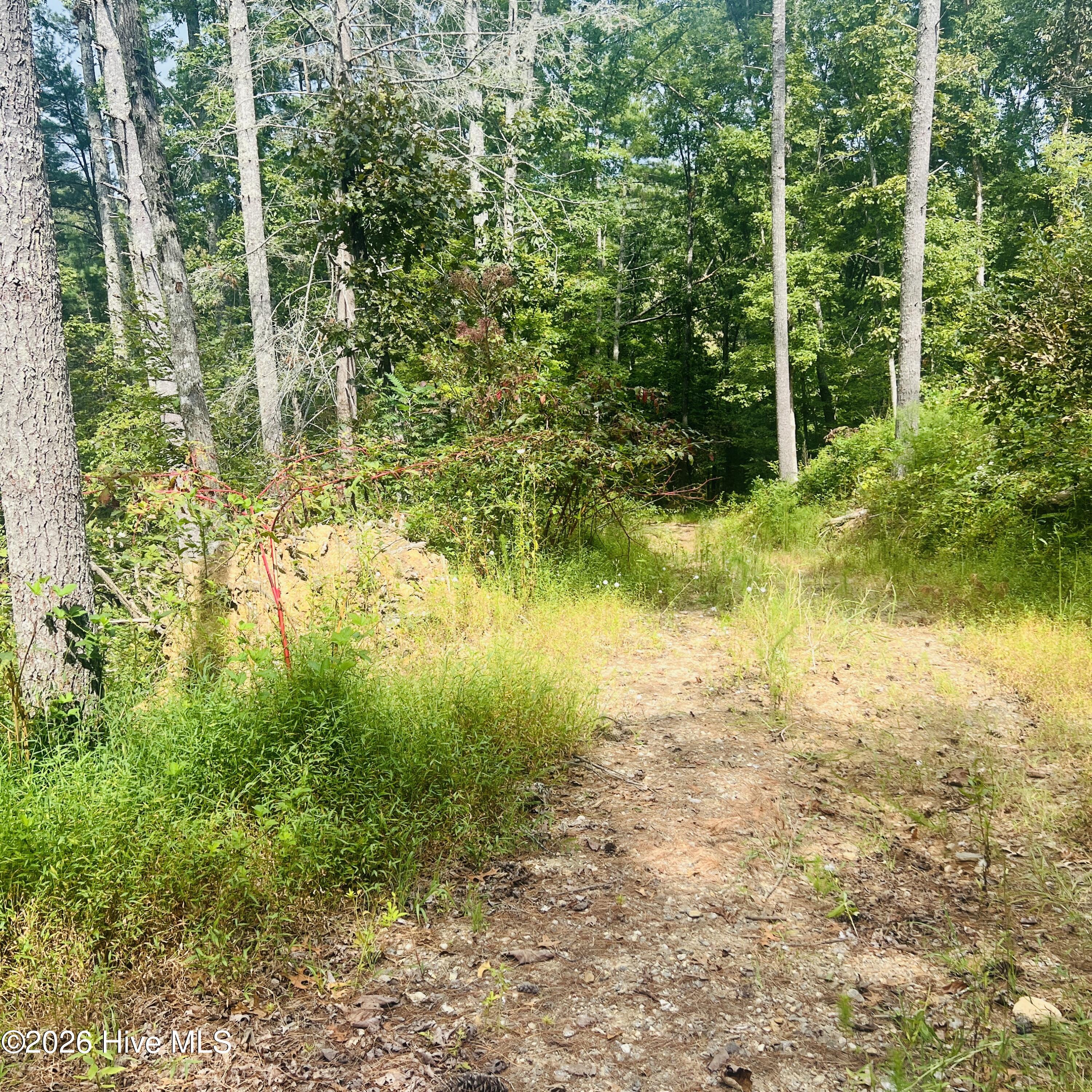 1005 Cliff Raper Road Property Photo 28