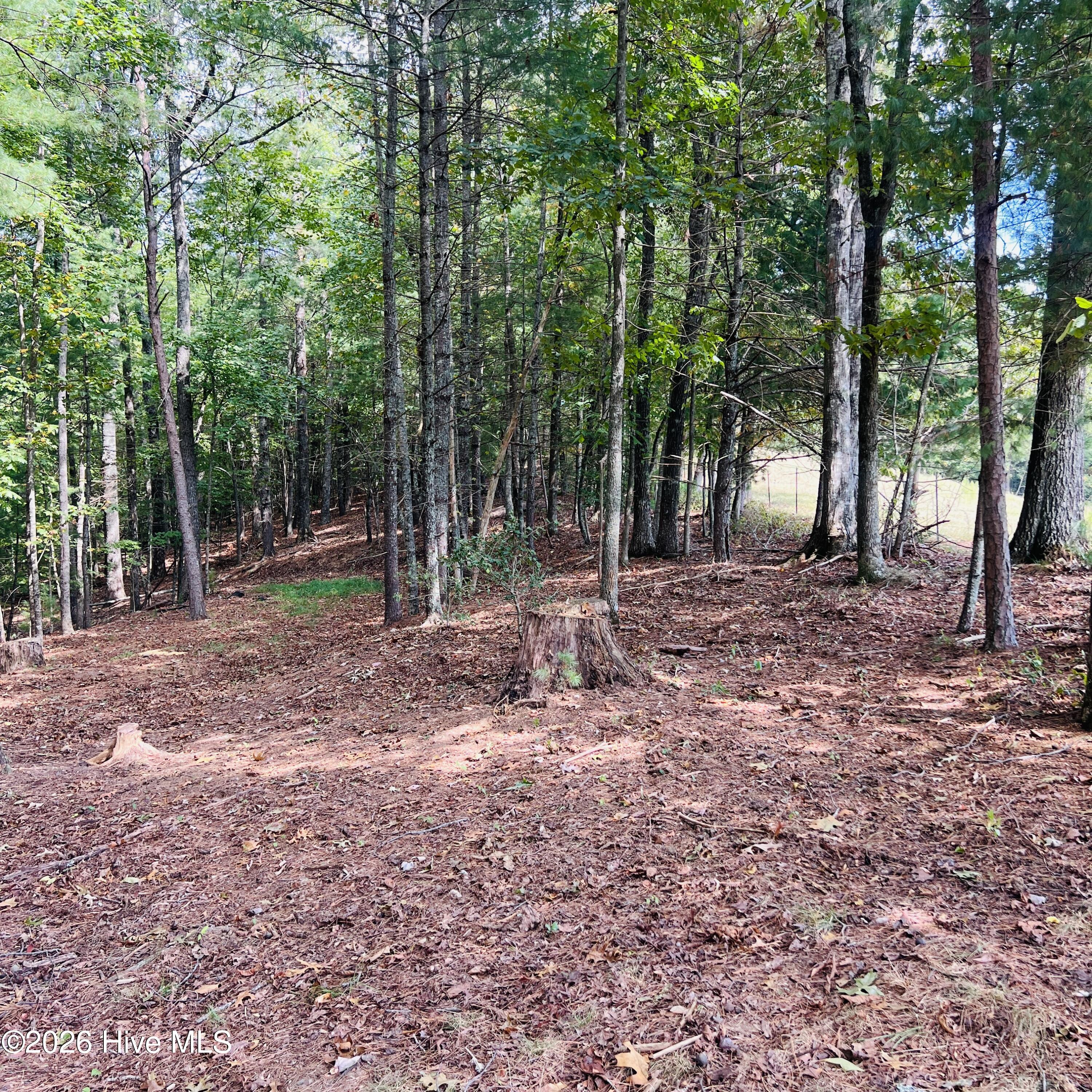 1005 Cliff Raper Road Property Photo 33
