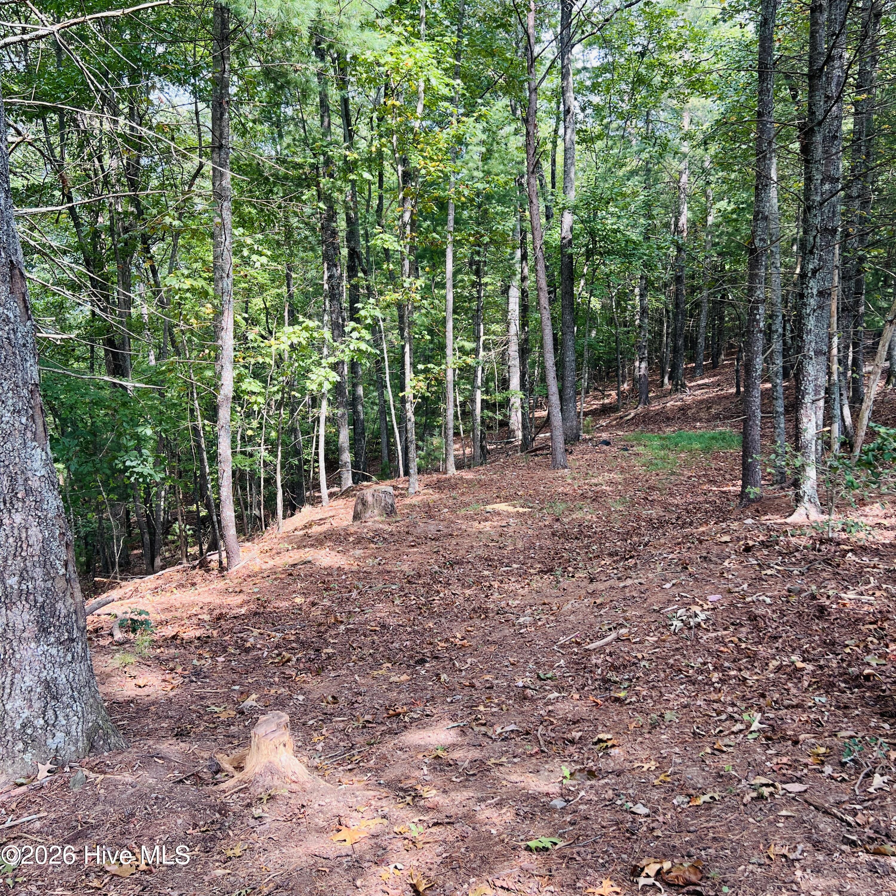 1005 Cliff Raper Road Property Photo 34