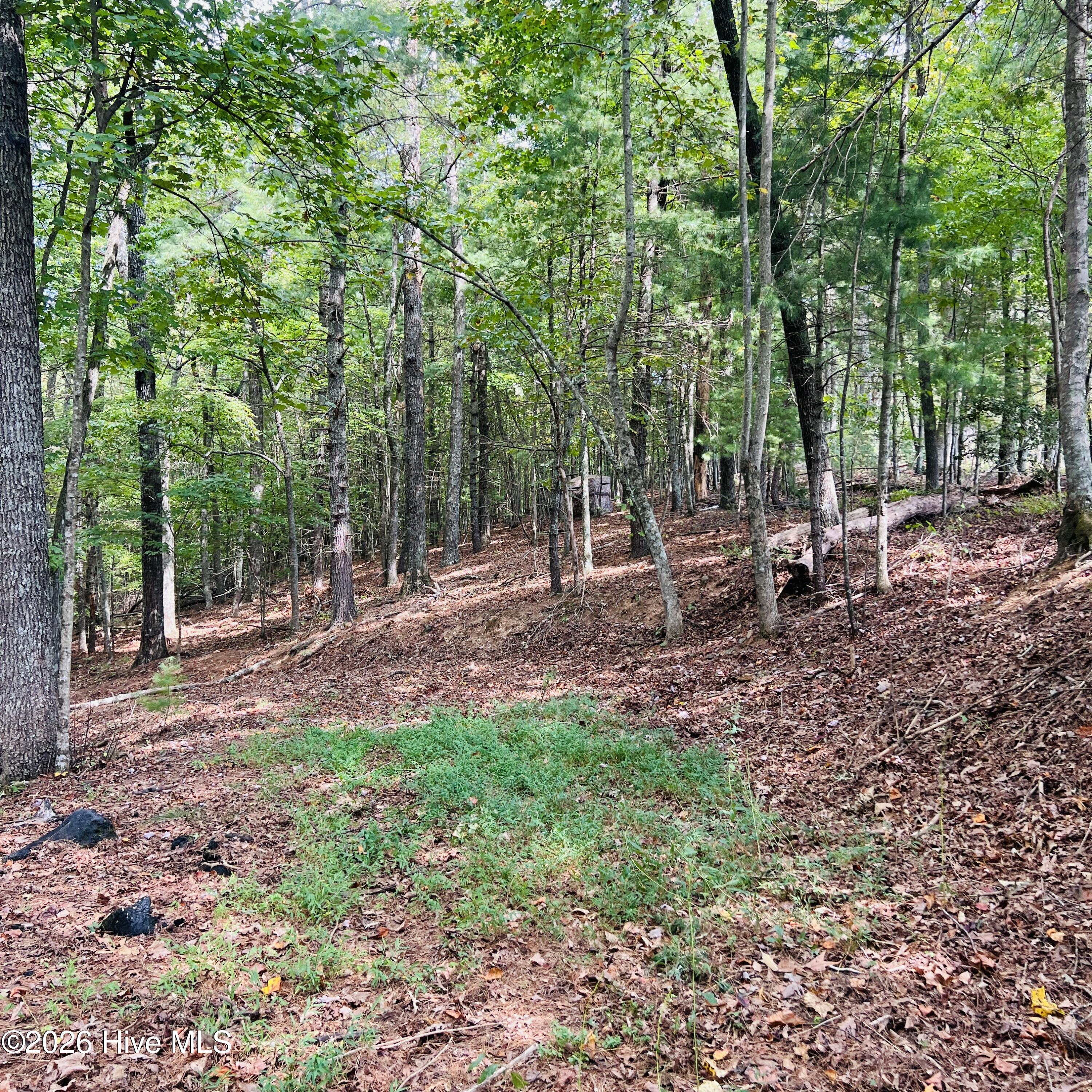 1005 Cliff Raper Road Property Photo 35