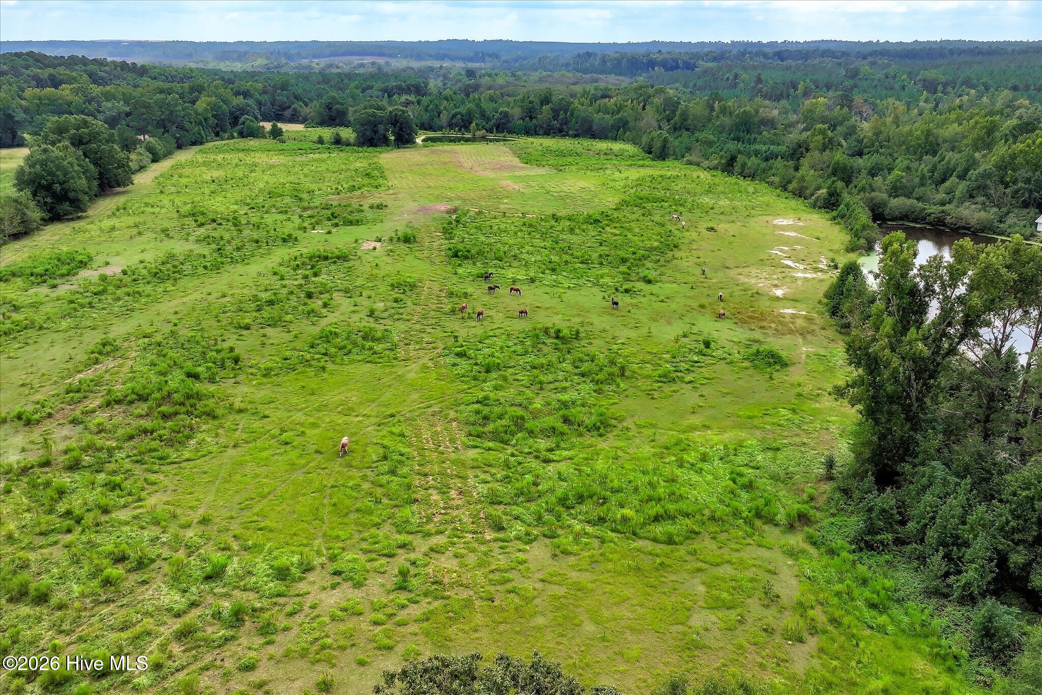 1460 Happy Valley Road Property Photo 4