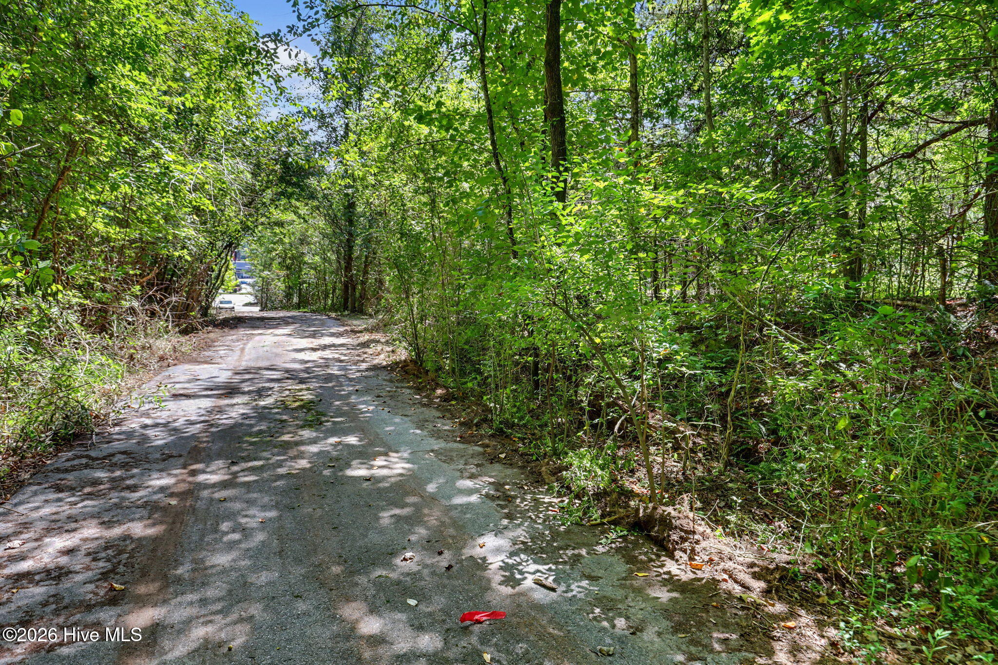 1271 Andrews Road Property Photo 19